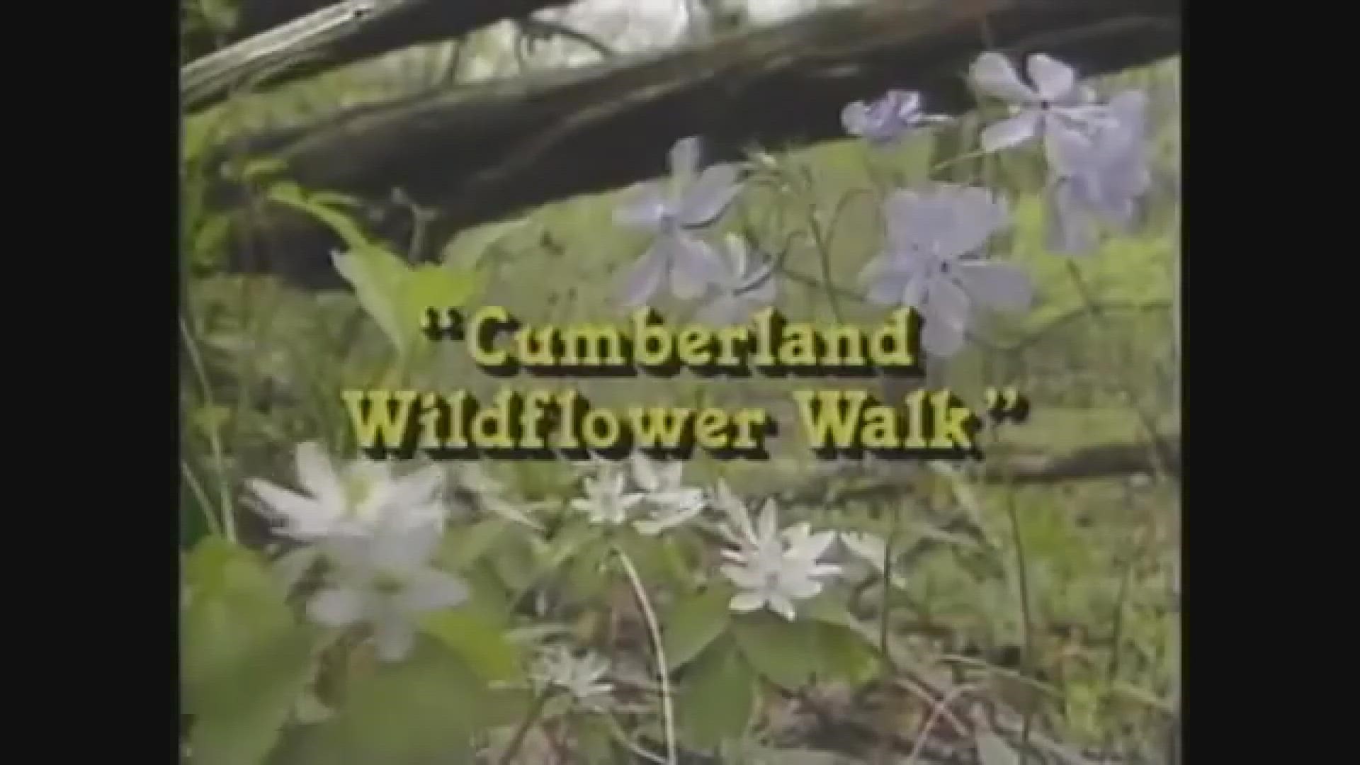 WBIR Channel 10's 'The Heartland Series' hosted by Bill Landry aired from 1984 to 2009. We hope you enjoy these captivating windows into East Tennessee history.