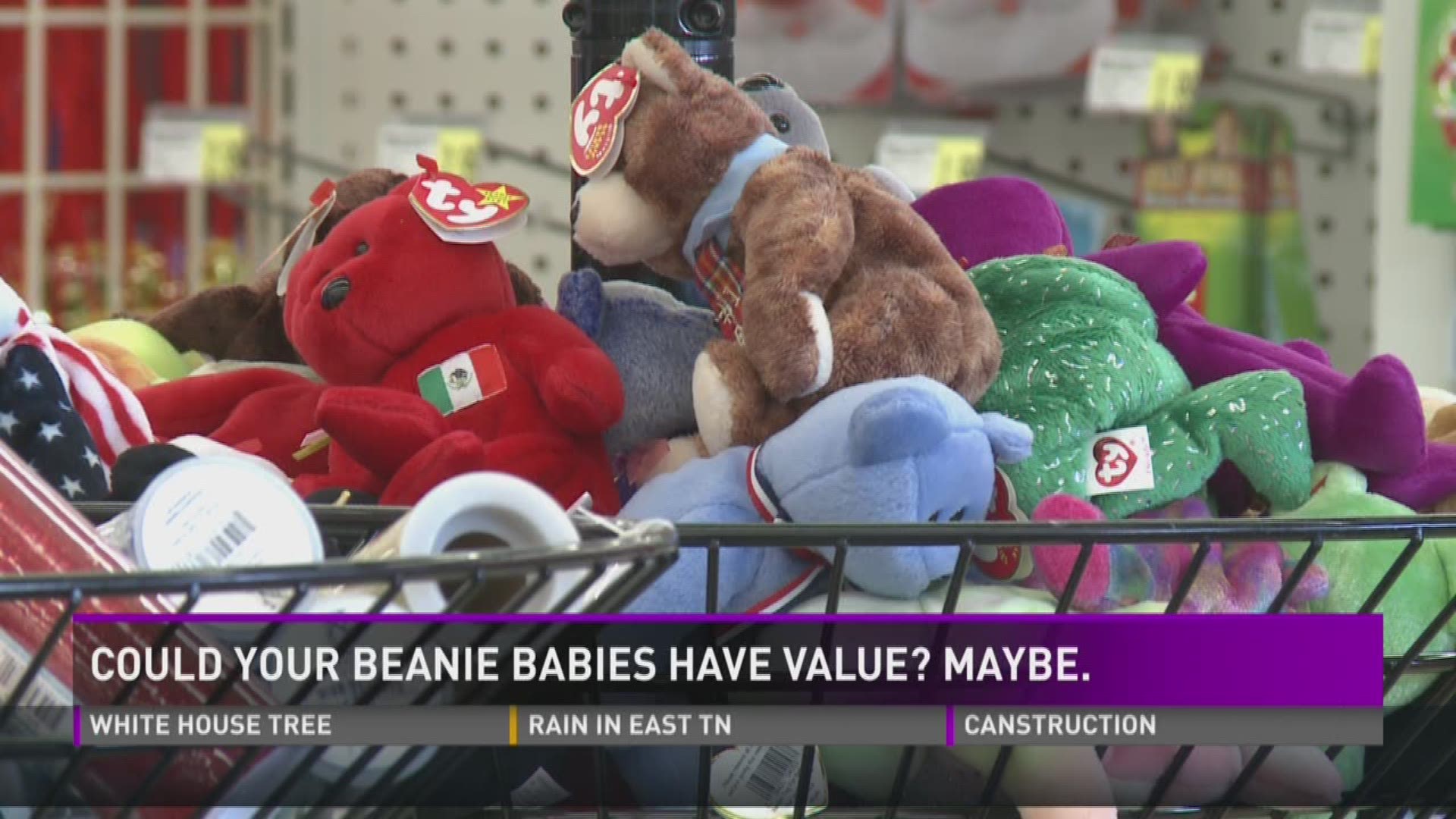 Nov. 23, 2016: Remember the Beanie Baby craze? Many of us held on to those toys, thinking they'd be worth a lot of money someday. Well, some of them are.