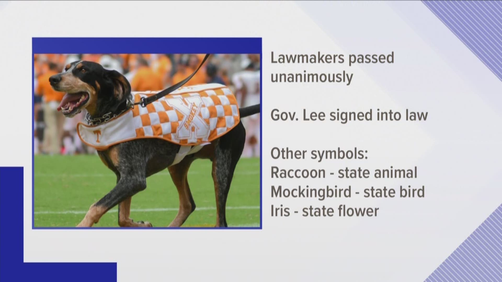 Three cheers for Smokey! The Bluetick Coonhound is now the official state dog of Tennessee.