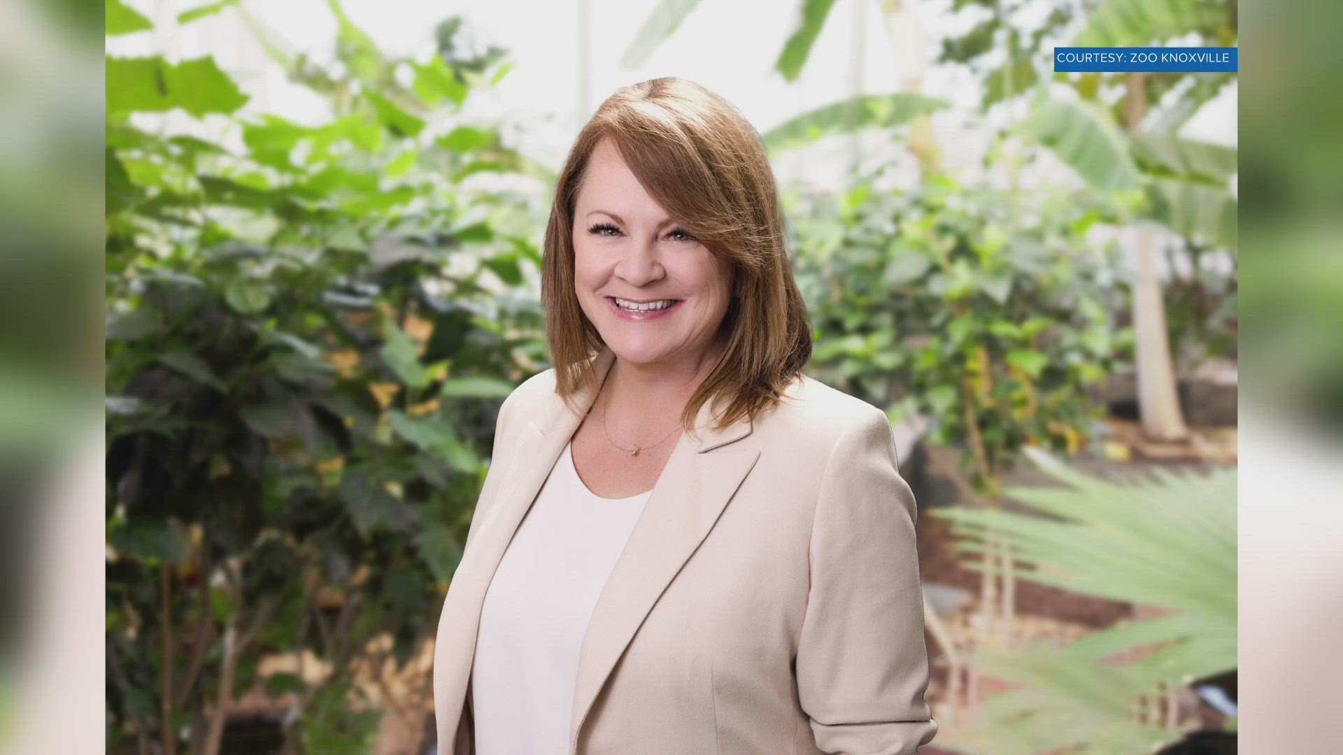 The Dallas Zoo named Lisa New as CEO. She will be the zoo's first female CEO ever. New will be leaving Zoo Knoxville after 10 years as president.