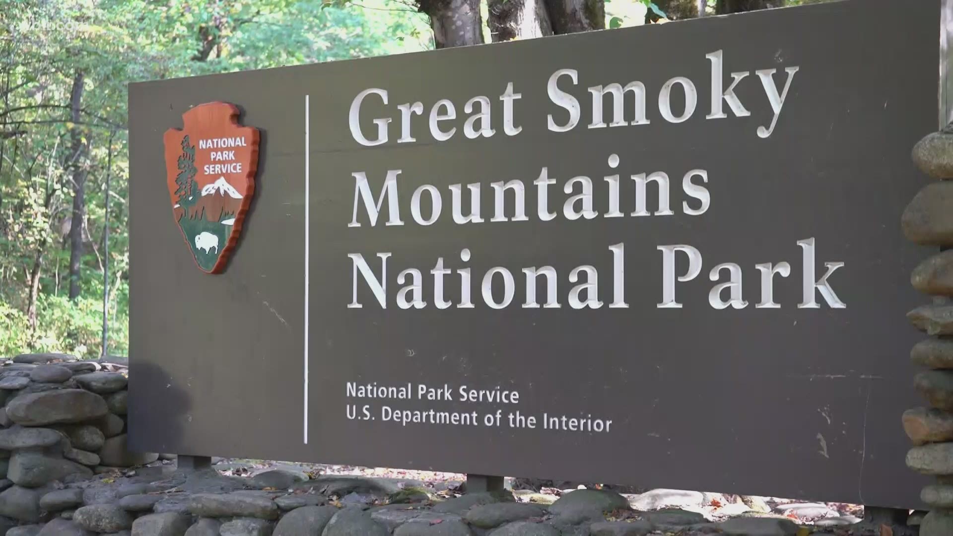 An Alabama man is dead after falling 50 feet in the Great Smoky Mountains National Park.