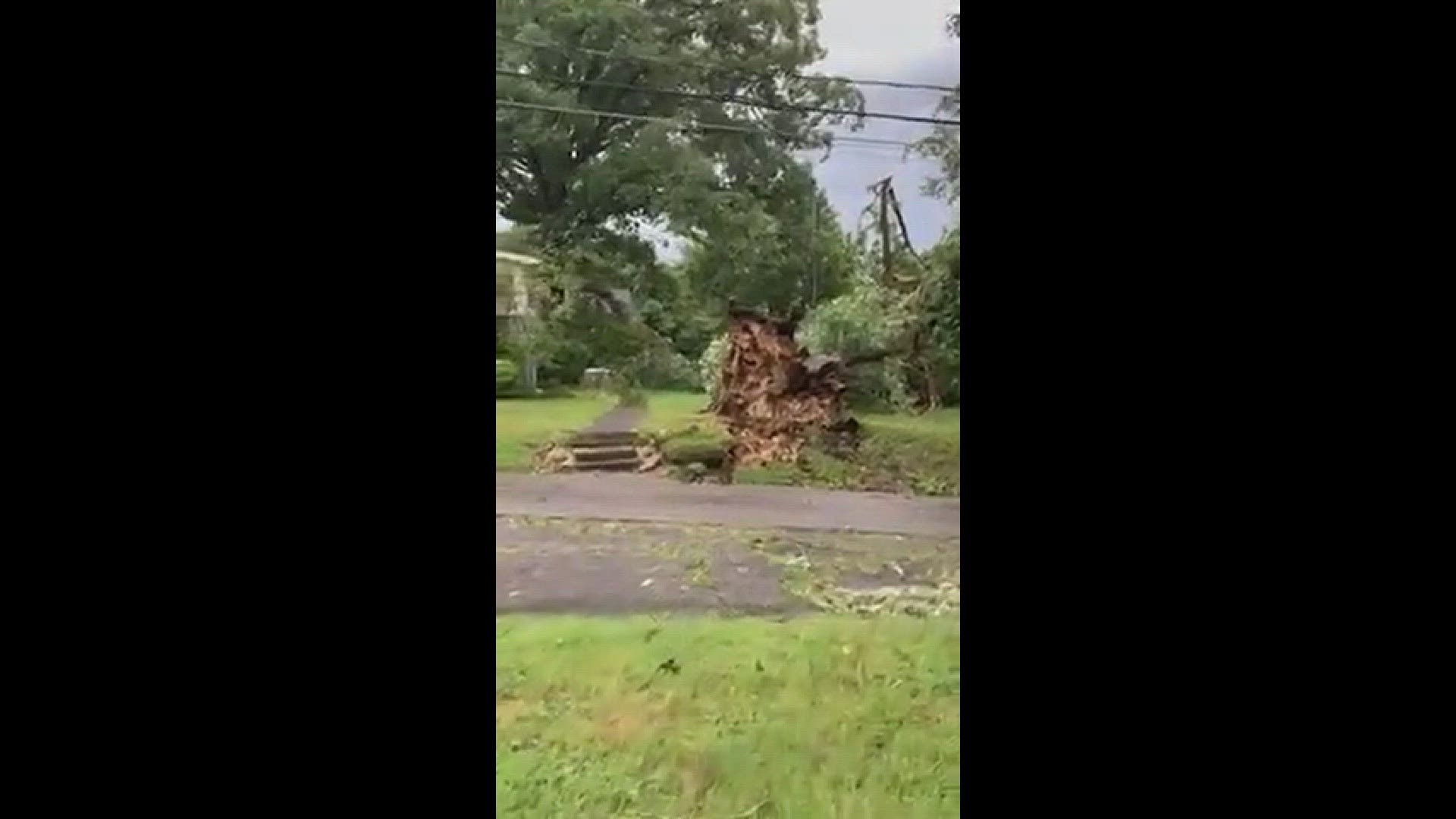 tree uprooted in north knox
Credit: Katie C.