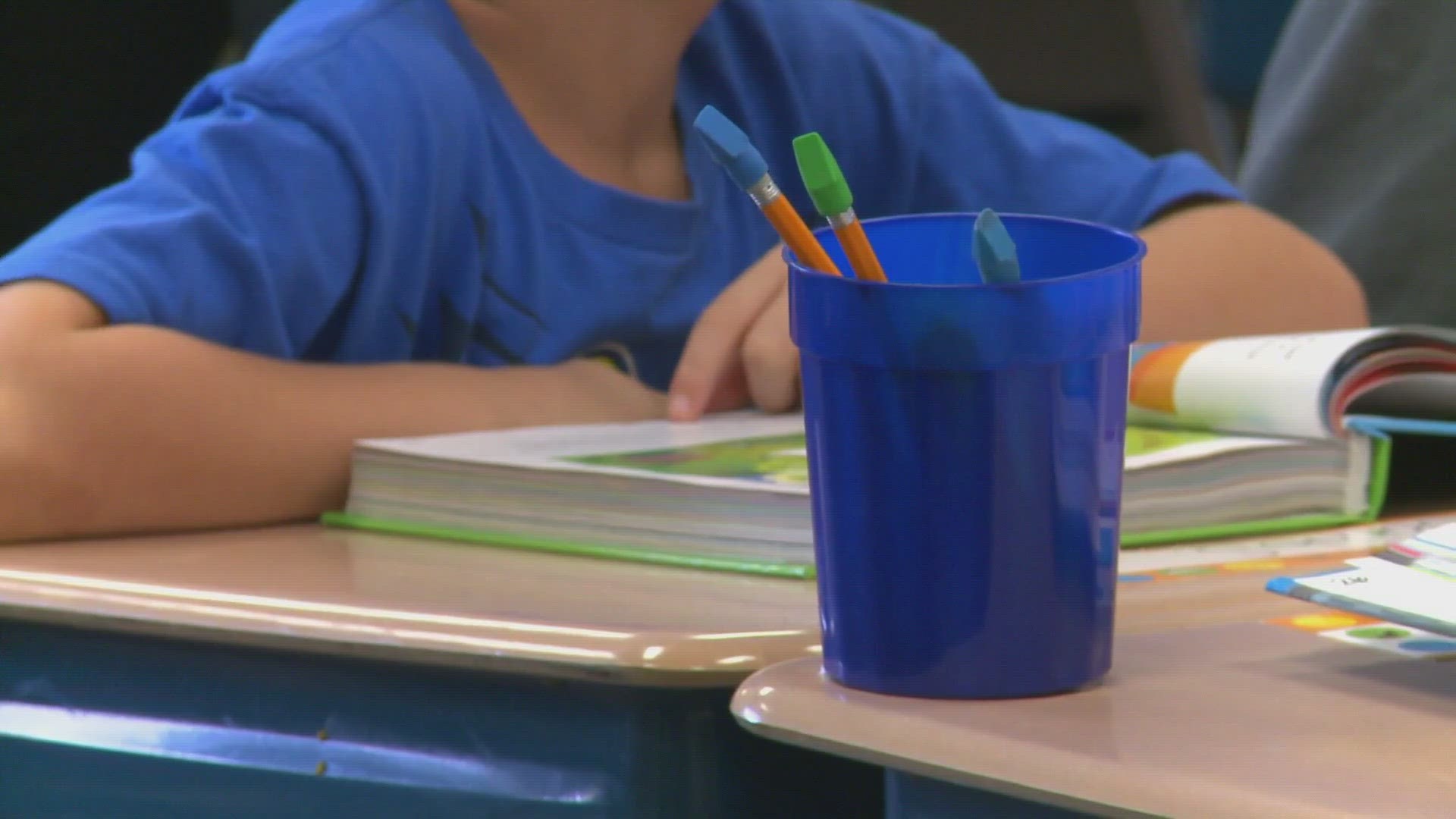 "Freedom Schools" are summer programs meant to help students with their education that are run by the Children’s Defense Fund.