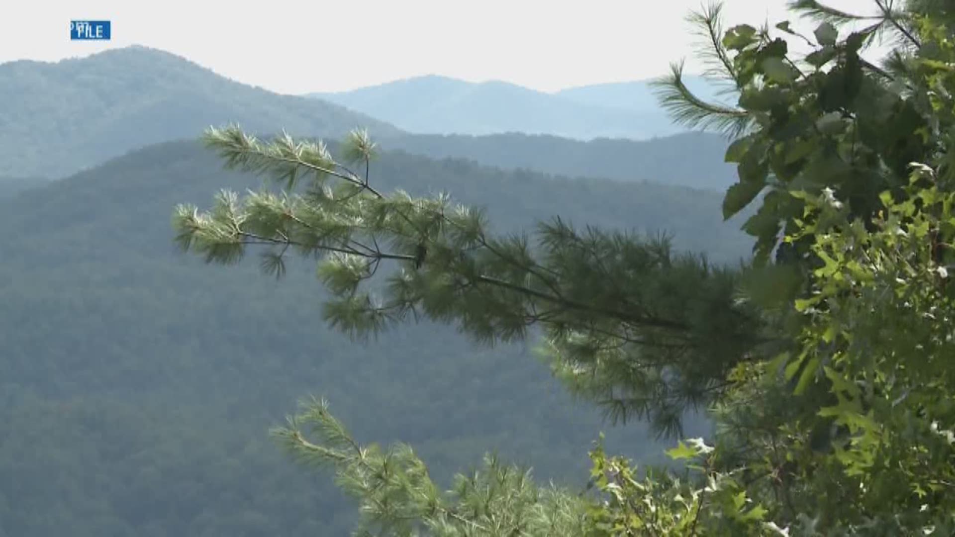 100,000 acres of working forest land will now be preserved along the Tennessee/Kentucky state line.