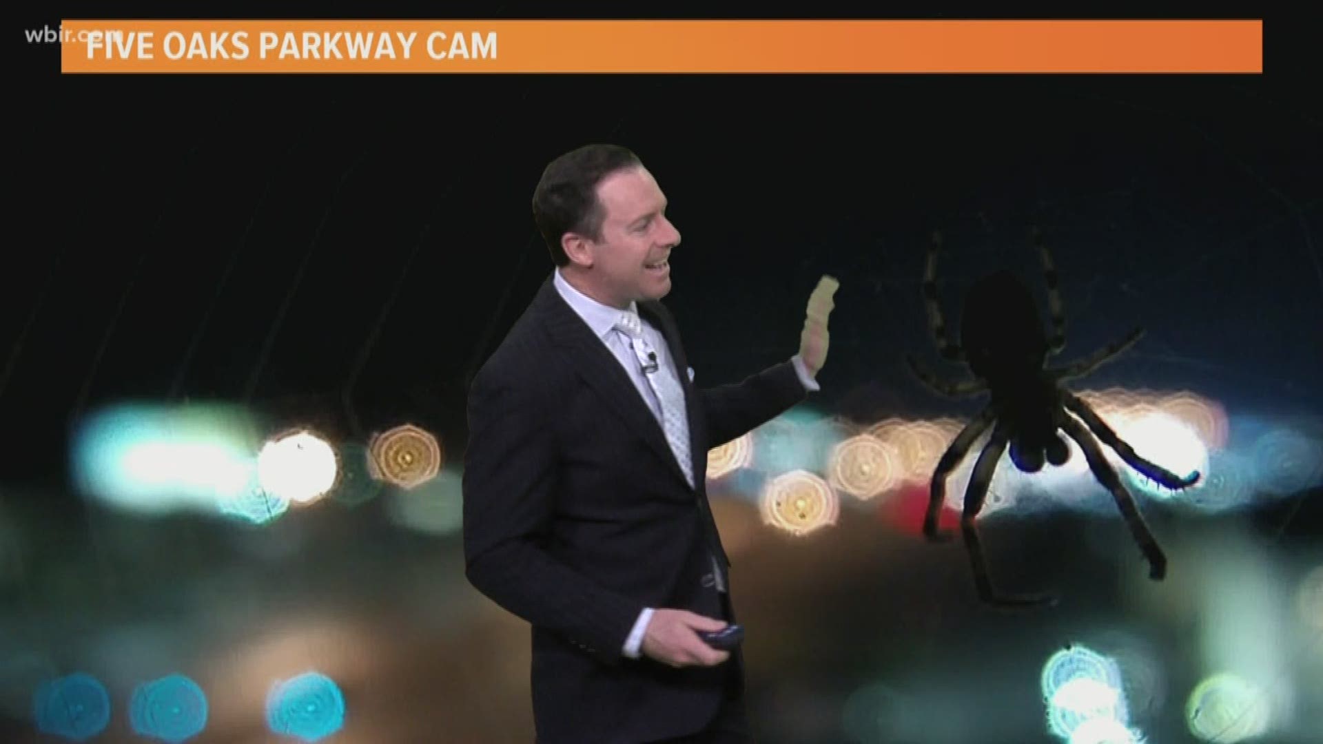 Meteorologist Mike Witcher had a bit of a shock this morning when an unexpected guest visited a Sevierville camera.
