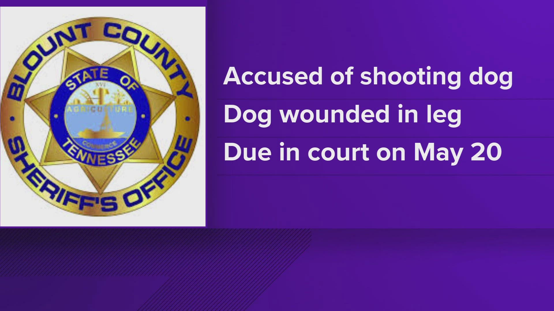According to court records, Michael Richter is charged with two counts of reckless endangerment with a deadly weapon and one count of aggravated cruelty to animals.