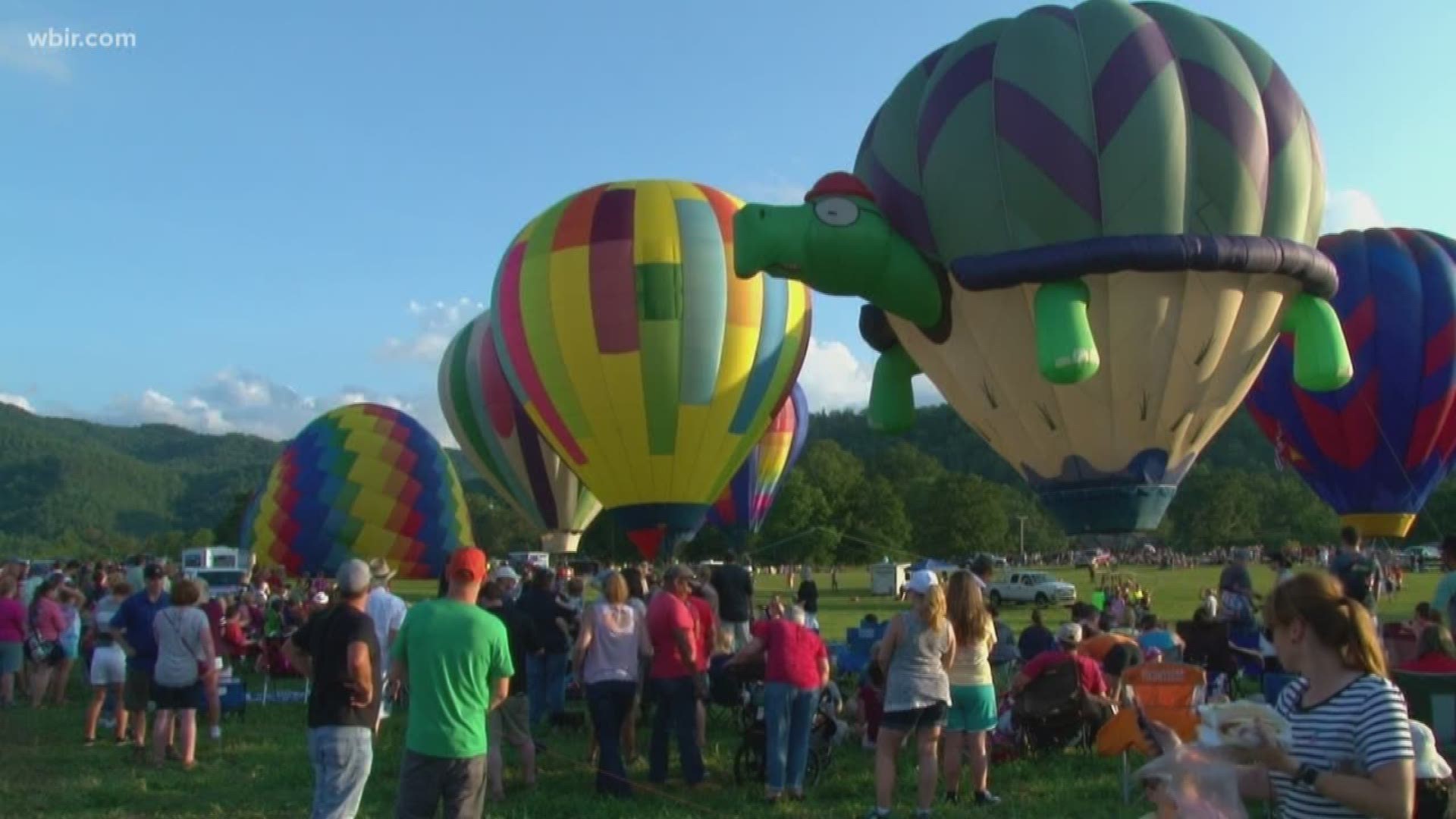 The festival in Townsend had live music, local beer and wine tastings and of course - hot air balloon rides!