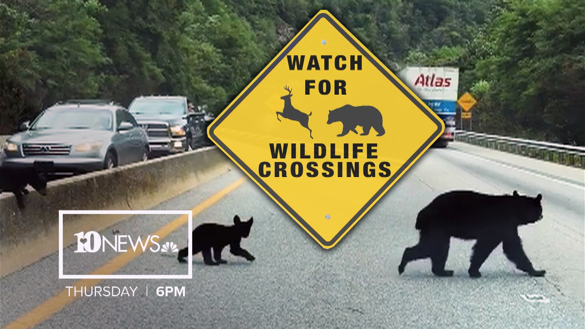 Watch 10News at 6 p.m. on Nov. 7, 2019 to see how researchers hope to create safe passages on part of I-40 considered a death trap for bears, elk and other wildlife.