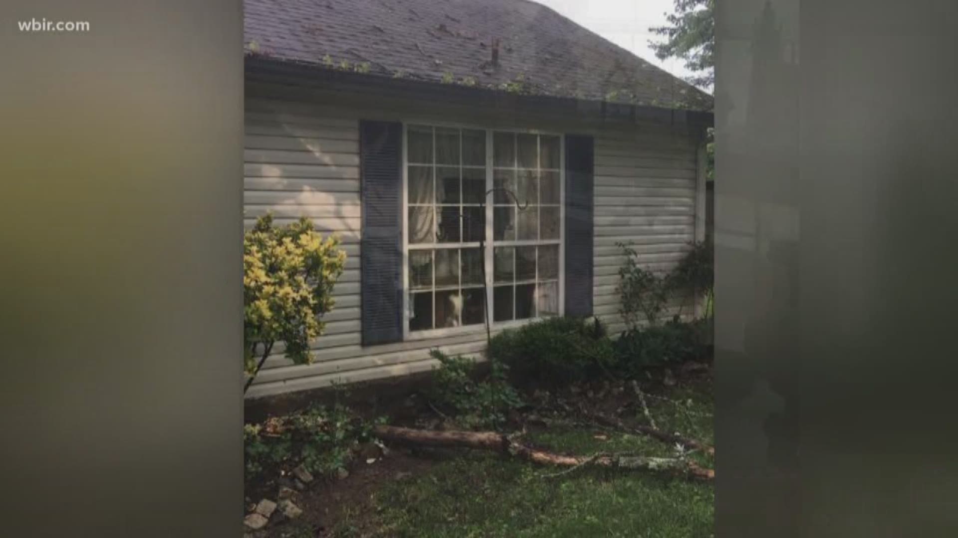 Folks across east Tennessee experienced storm damage.