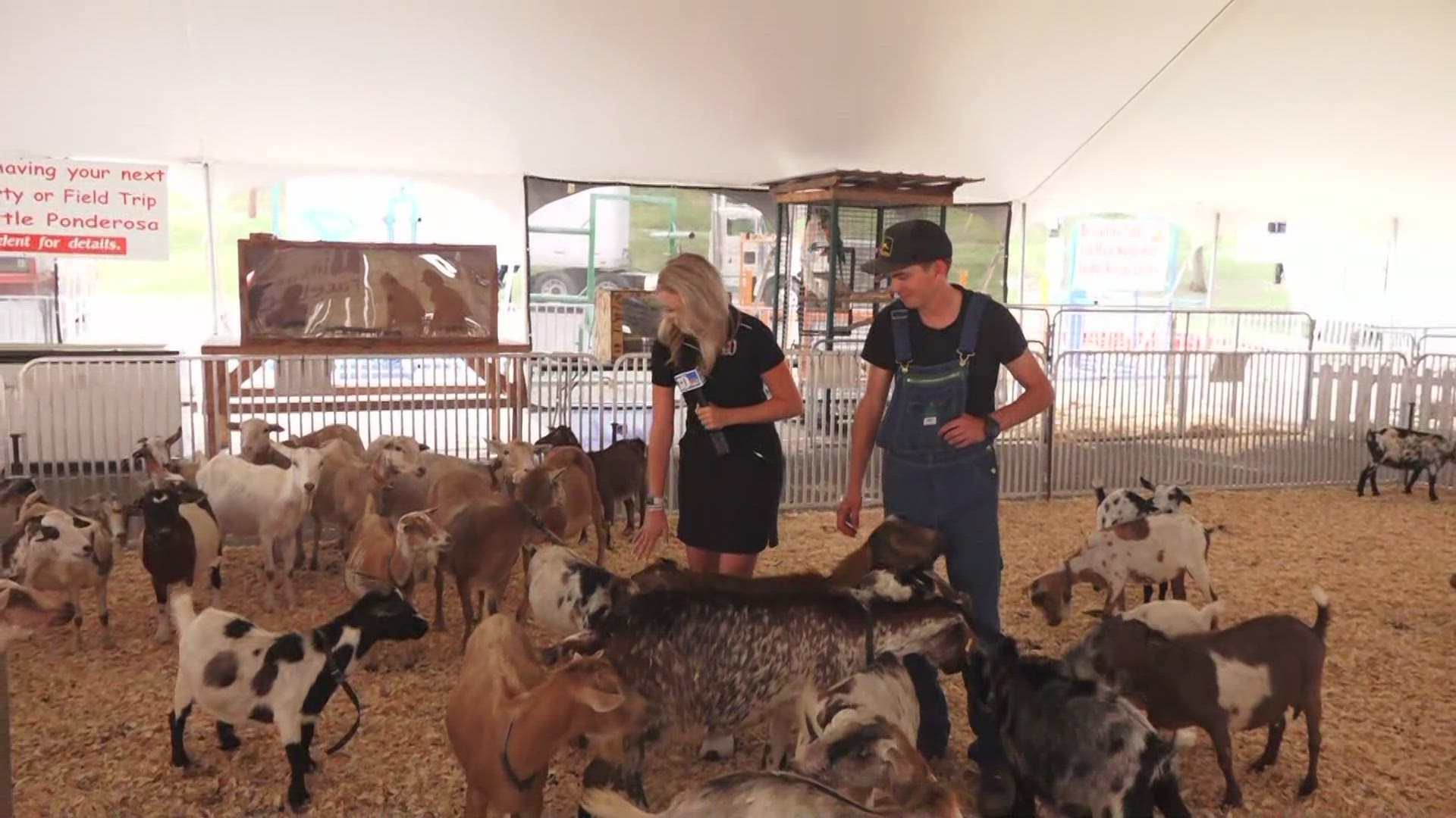 WBIR's Katie Inman made some new friends at the Tennessee Valley Fair.