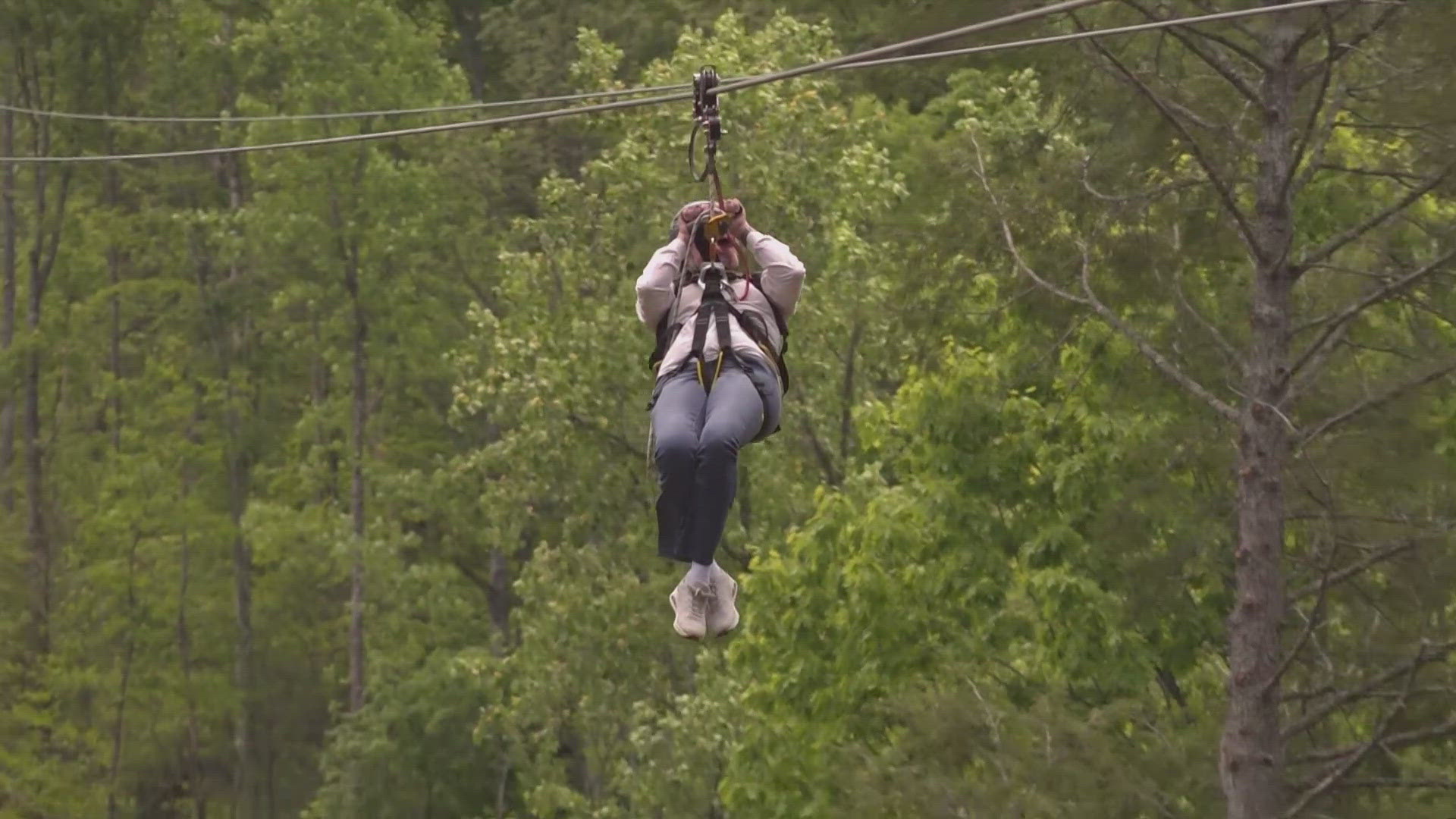 During Local Appreciation Days, certain residents and employees can enjoy the zipline at half the price. 