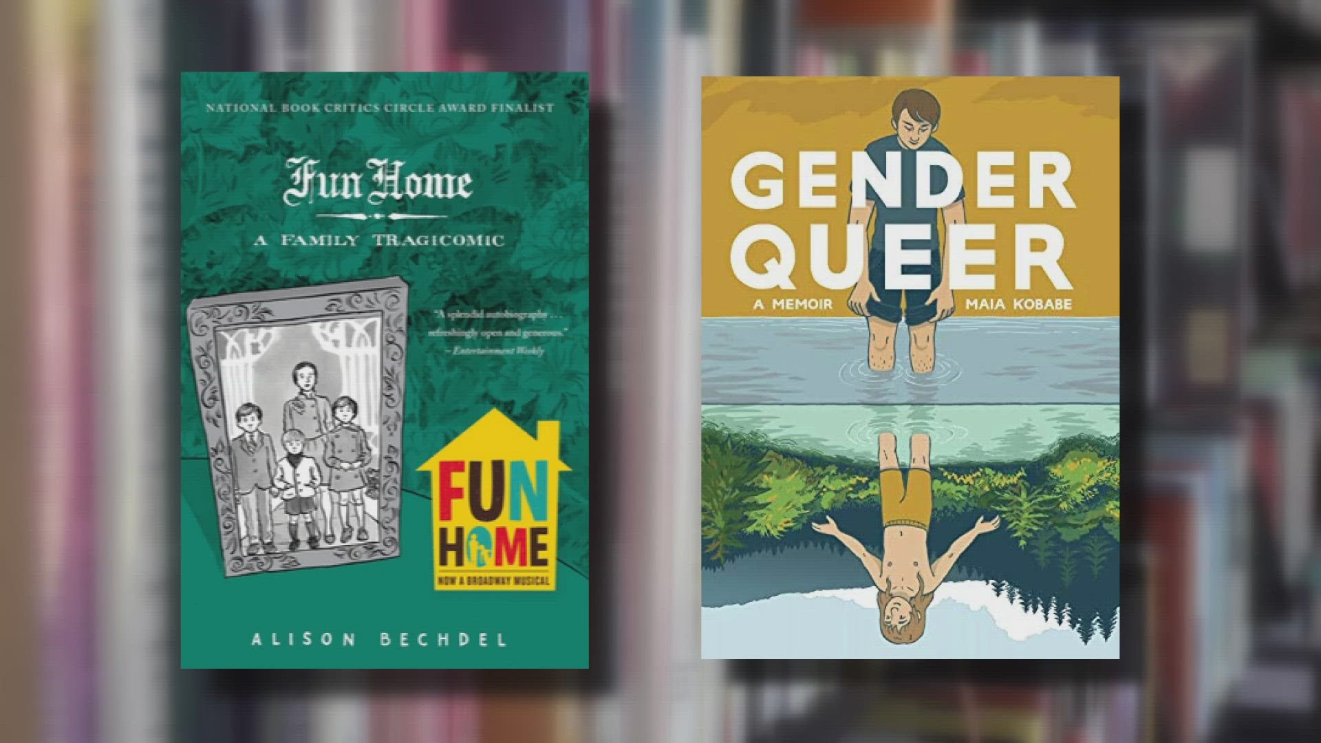 Select images from the books, Gender Queer and Fun Home, are often used to shock people and push for book bans across the country.