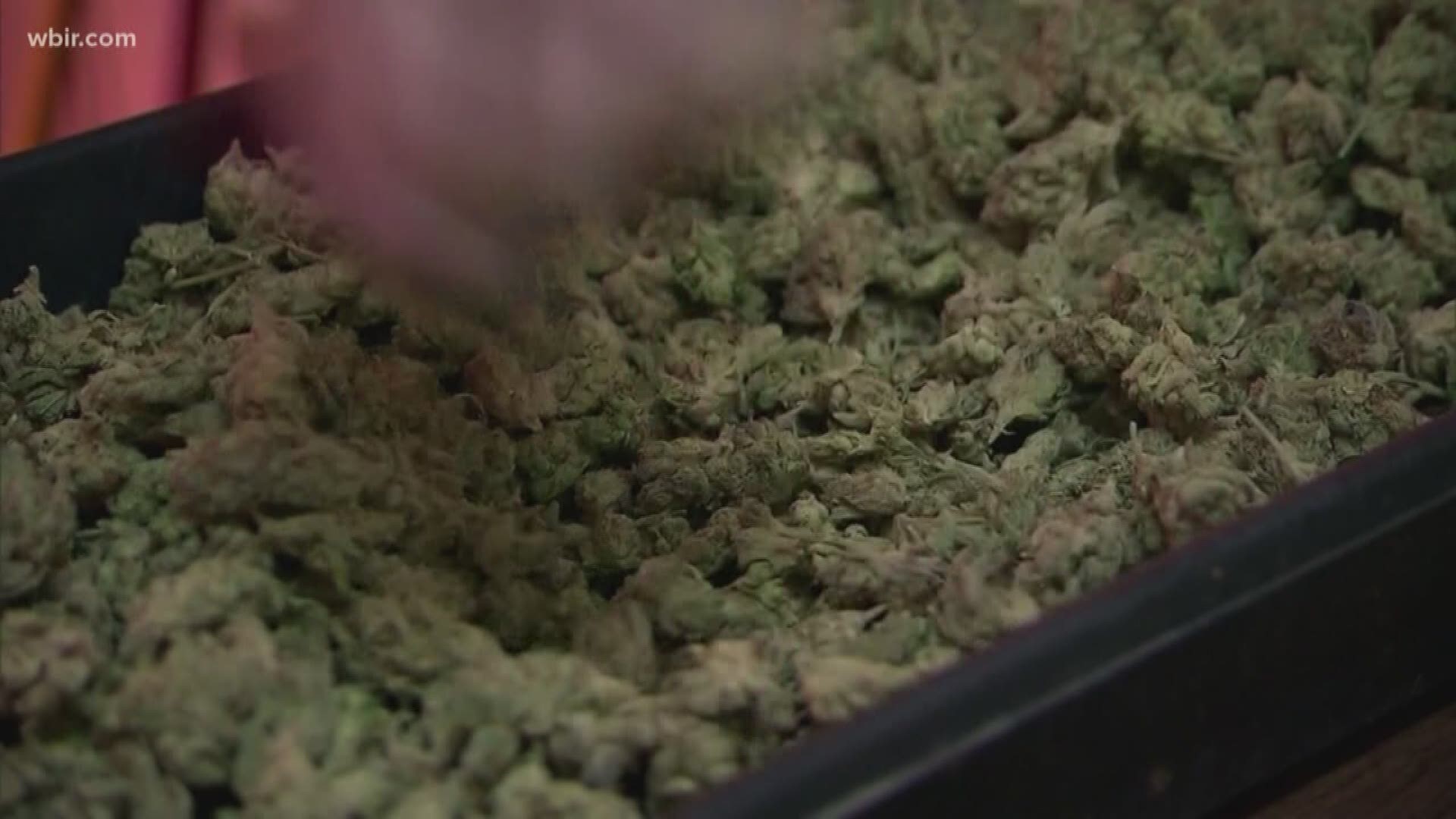 TN Congressman Tim Burchett says U.S. lawmakers talked about the impact of legalizing marijuana recently.