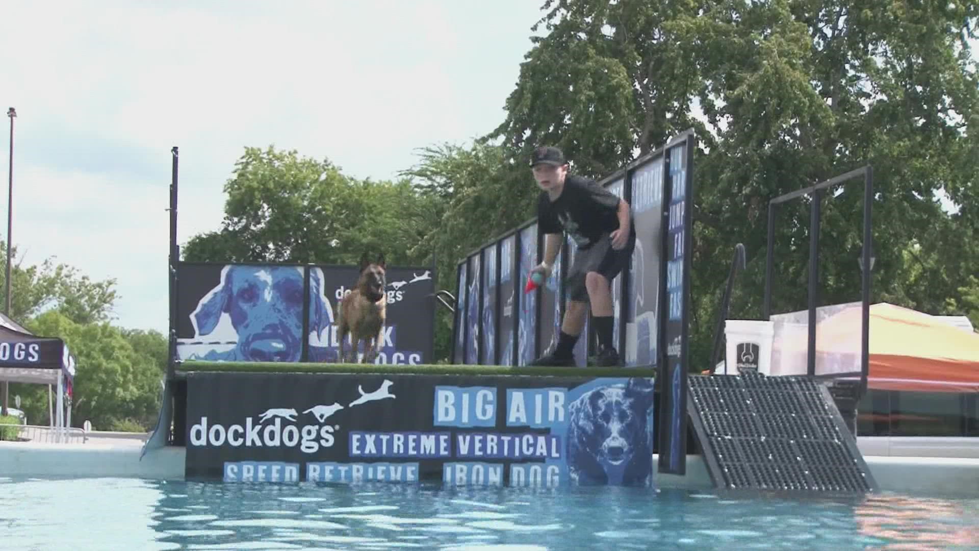 Sunday was the last day of the event, and dogs from all over Farragut competed in the jumping competition.