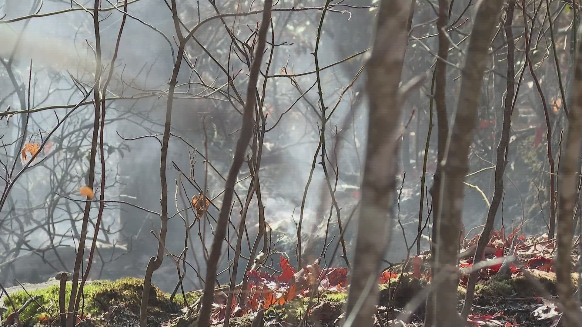 Burn bans implemented in East Tennessee to prevent more fires from