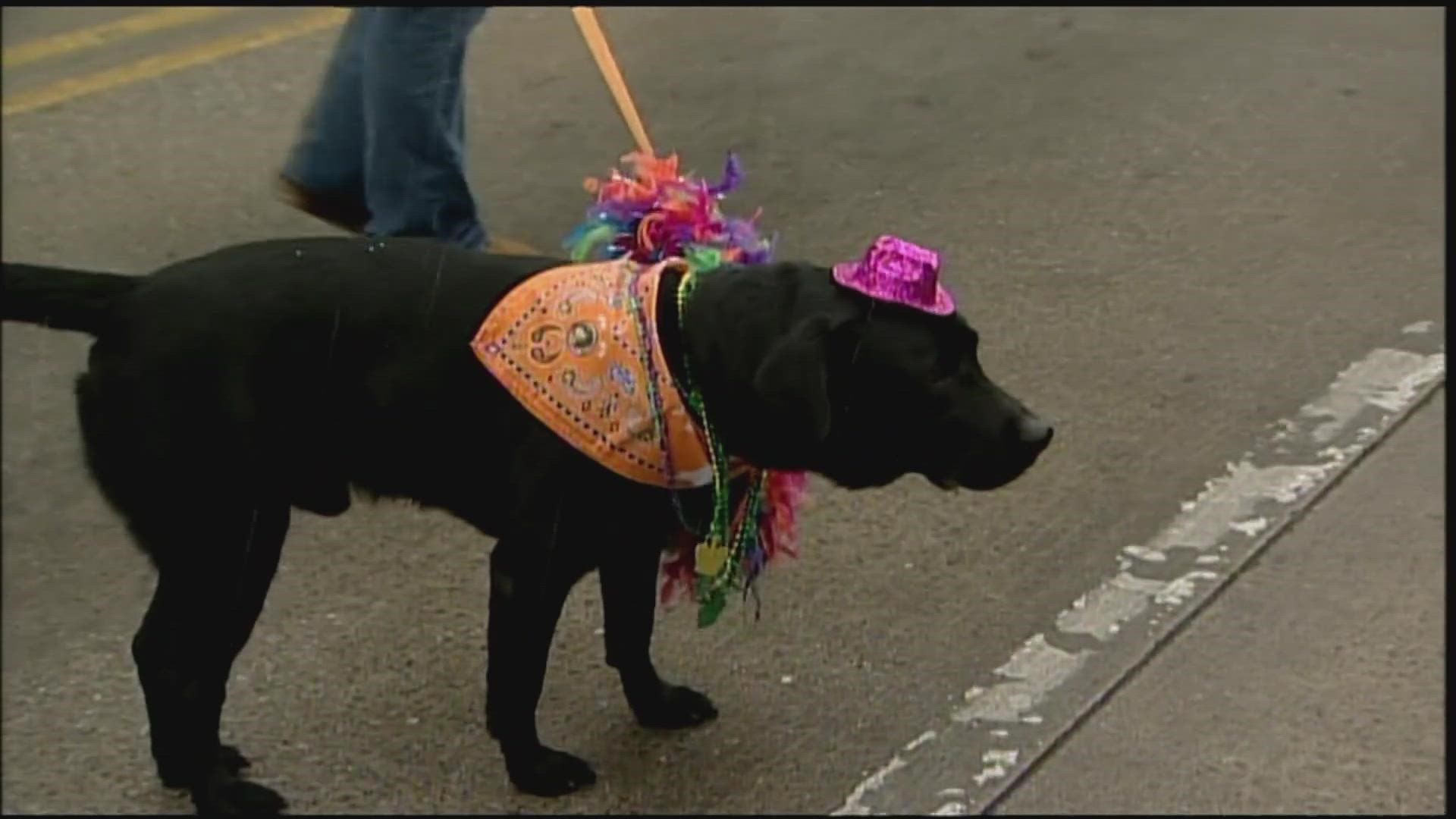 The City of Knoxville has everything you need to know about the 2023 Mardi Growl