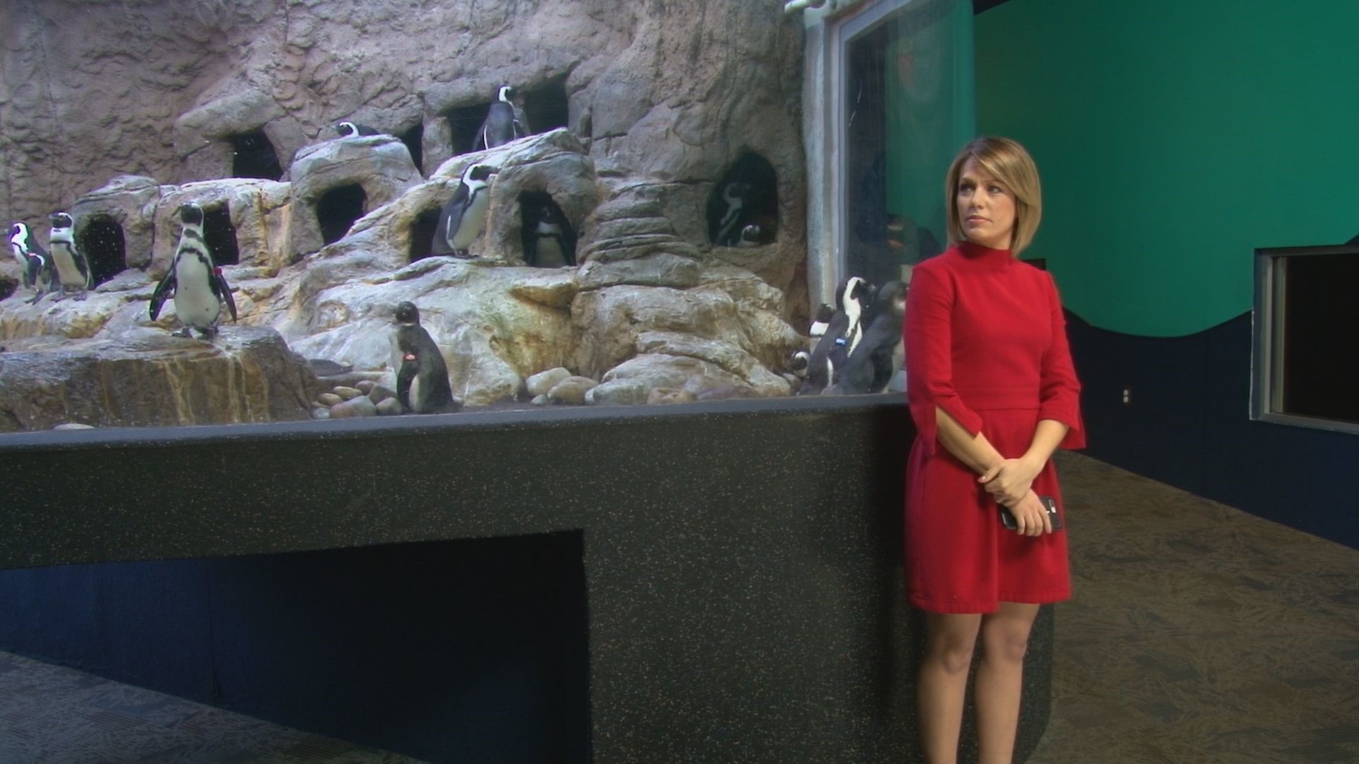Earth Odyssey with Dylan Dreyer goes around the world from East ...
