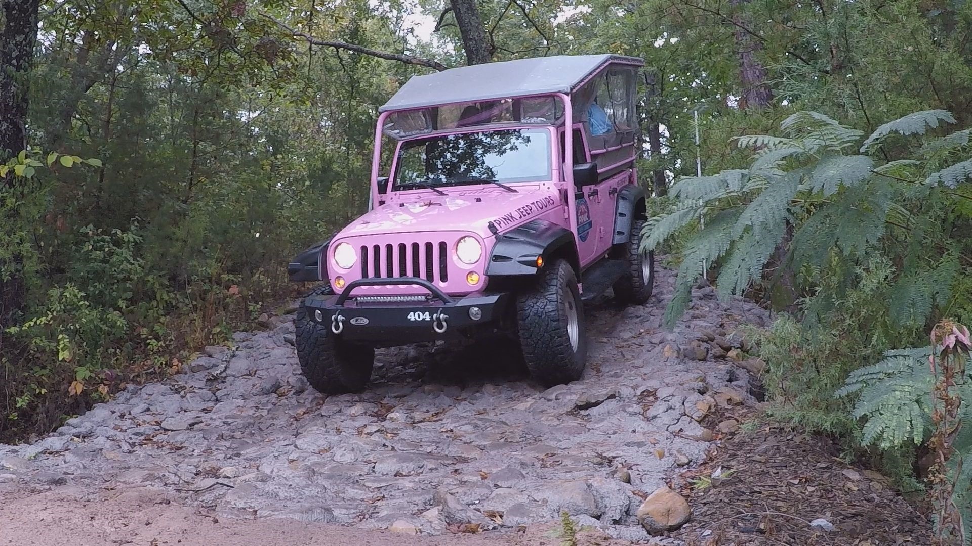 Pink Jeep Tours offer leaf-peepers an easy option this fall 