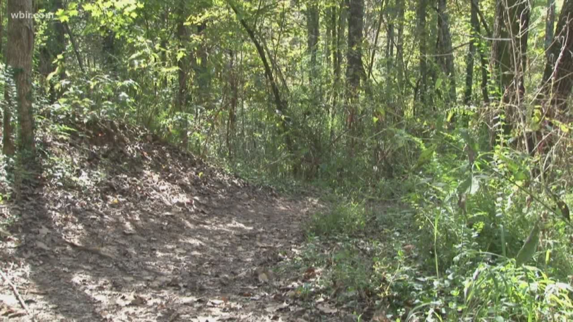 They've gathered $200,000 to build a new park in Powell. They're also adding benches to parks, building a unique playground at Ijams, and partnering with Oak Ridge, Anderson County and Roane County to improve green spaces there.