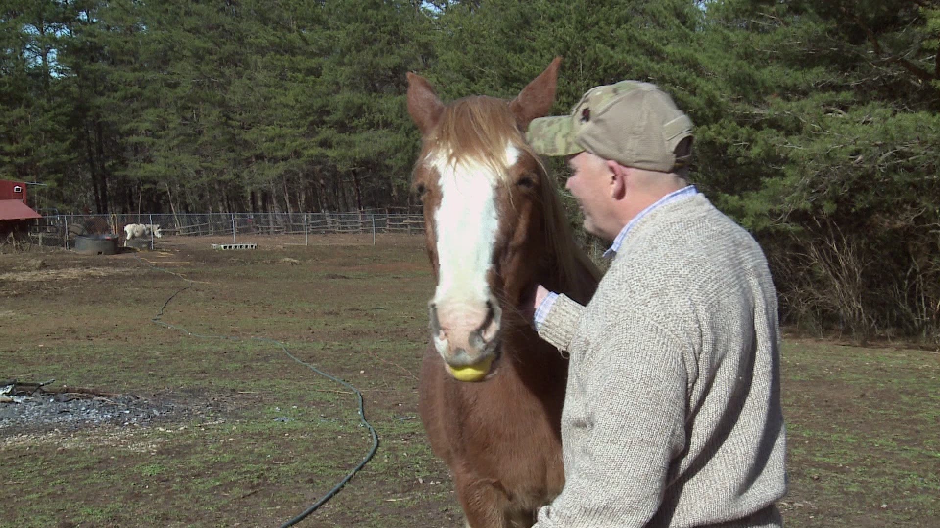 Not many people would call losing part of their leg progress. But that's how one East Tennessee veteran sees it.