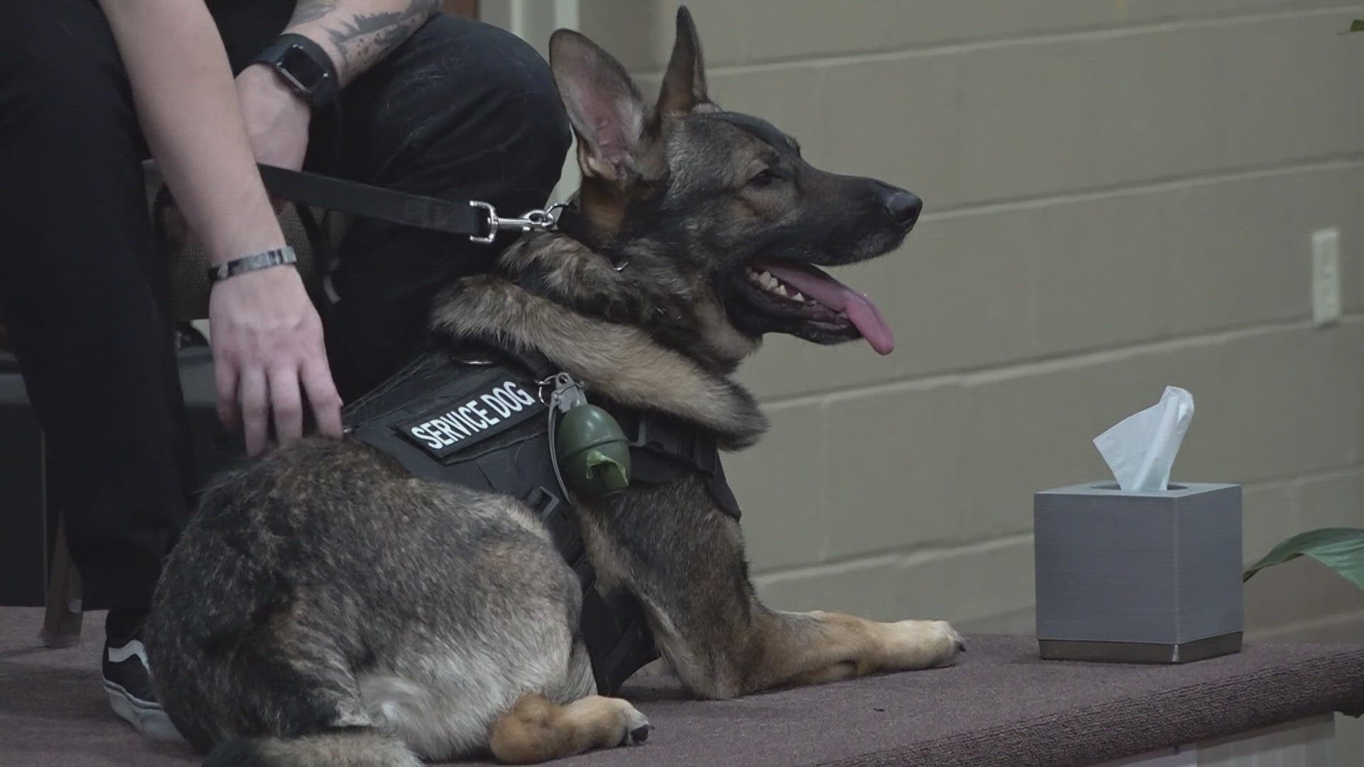 Paws and Badges held an "Exchanging of the Leash" ceremony for nine service animals who graduated from their training to start their working careers.