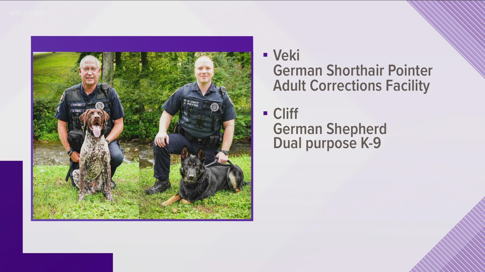 Veki is a german shorthair pointer born in Hungary and will work in the adult corrections facility. Cliff is a german shepherd from the Czech Republic.