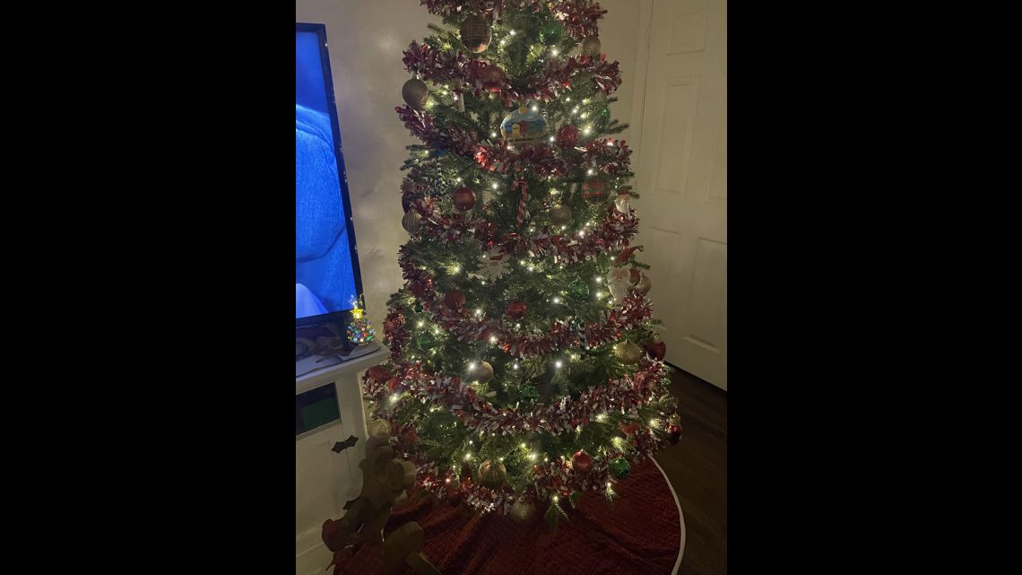 Where can I see Christmas lights in East Tennessee?