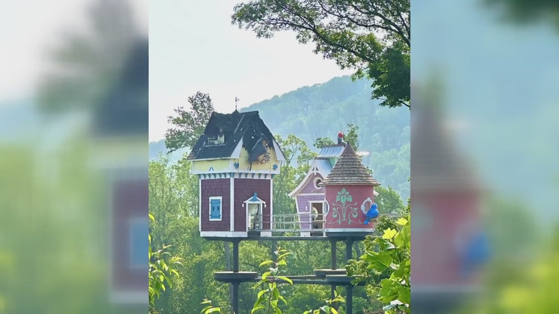 Anakeesta fire reported on May 24 ruled accidental and construction-related
