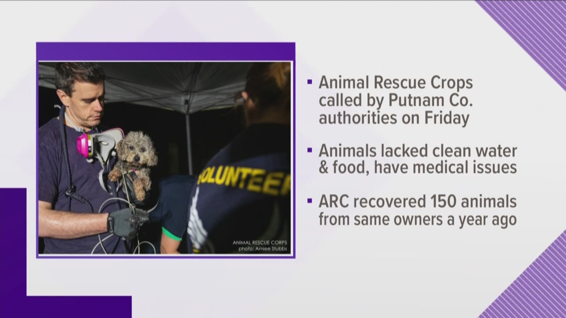 The Animal Rescue Corps (ARC), working with the Putnam County Sheriff's Office, rescued 23 dogs and 19 cats from the property this weekend. They said that none of the animals had access to drinkable water and little access to food.
