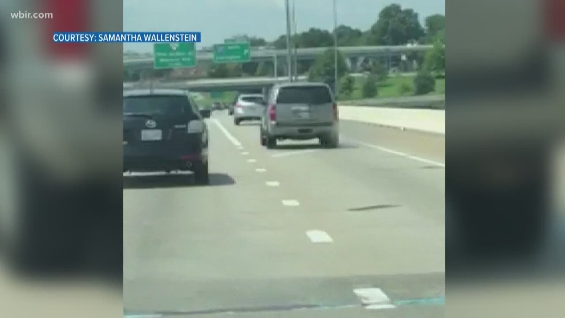 A Knoxville woman says she saw two cats fly out of a SUV's window on I-40 Sunday, claiming they were traveling nearly 60 miles an hour.