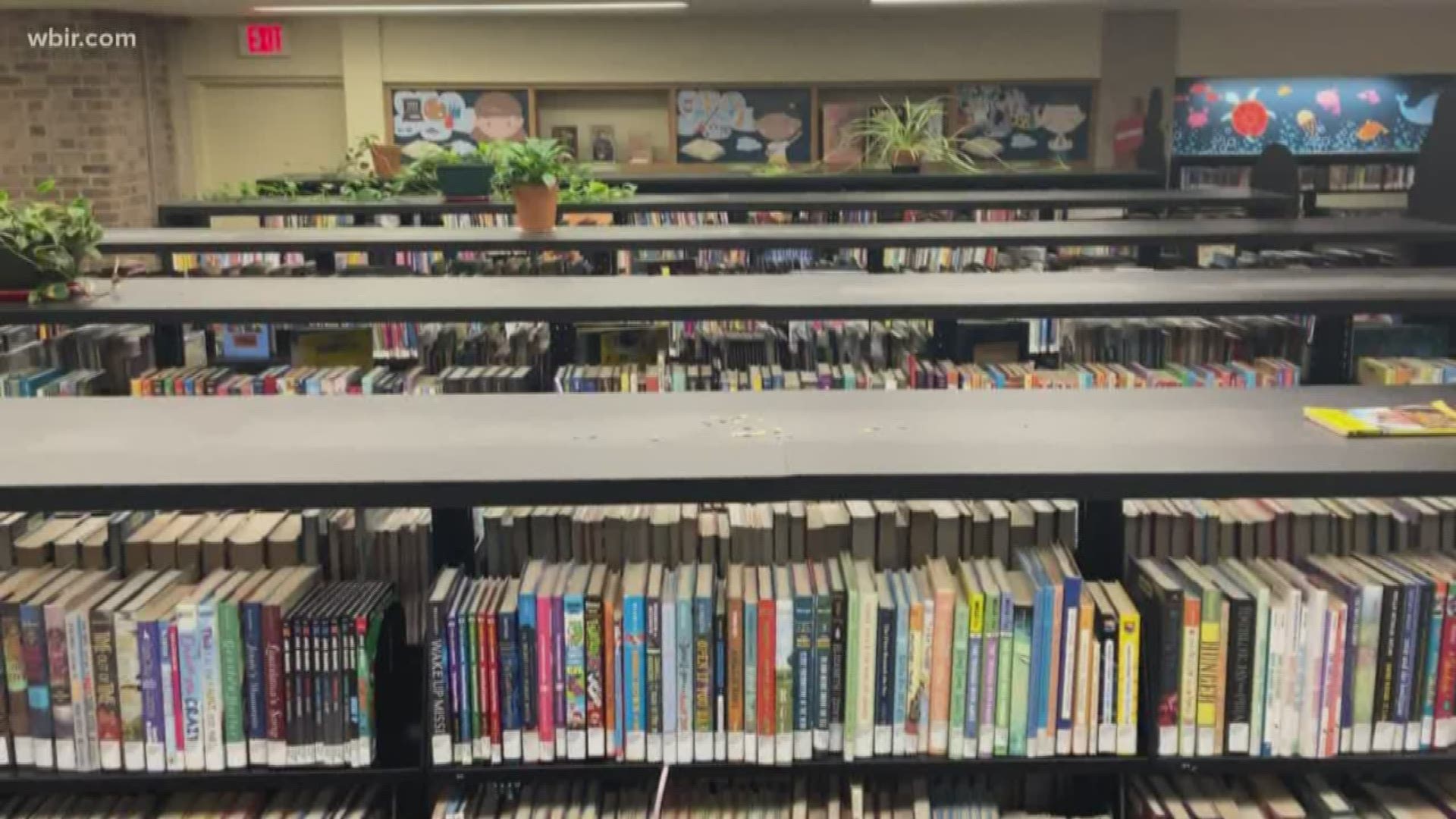 Under the bill, an elected board of five adults would make decisions on what material is sexually inappropriate for children in public libraries.