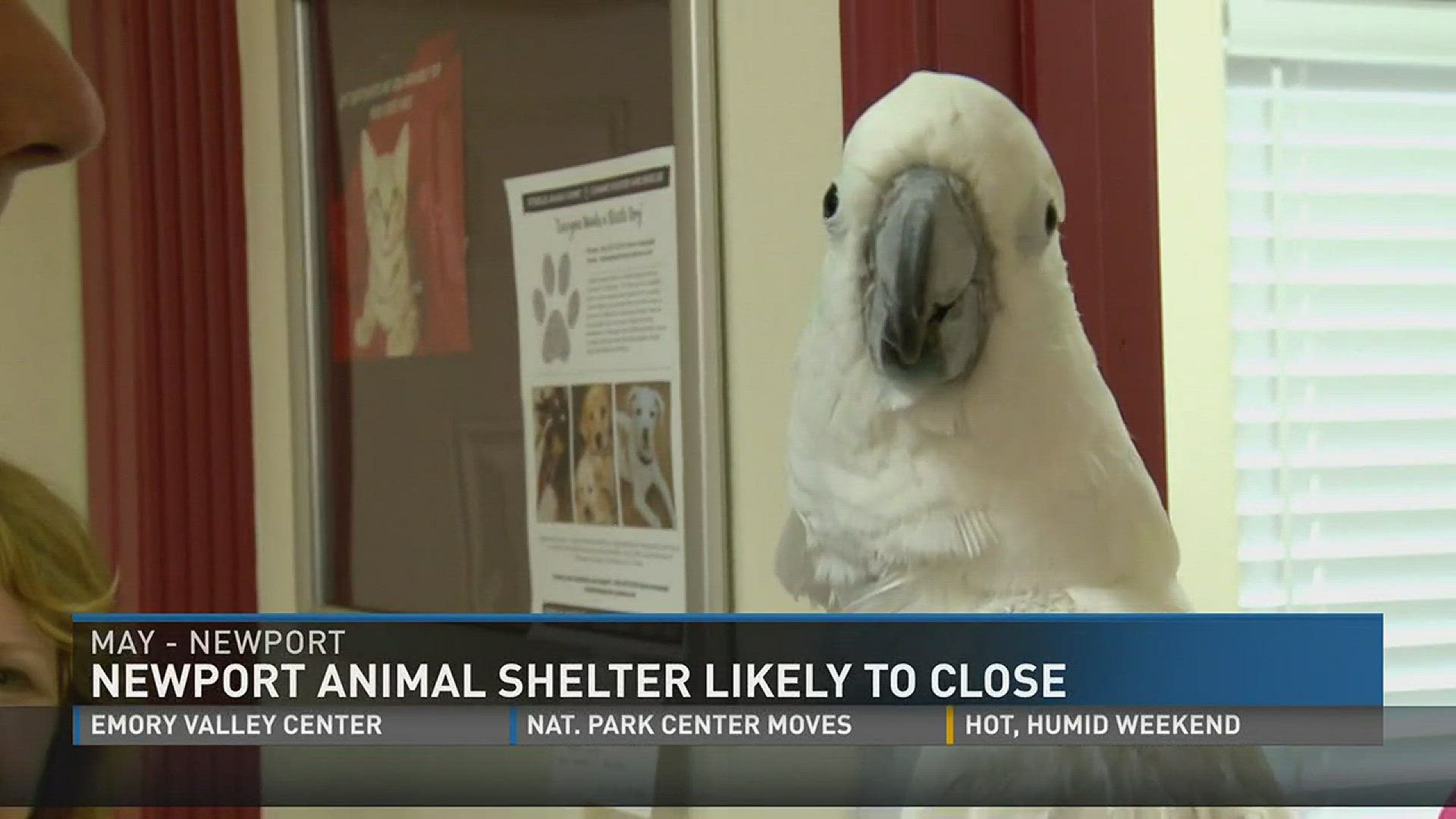 The Newport animal shelter will likely close in early July.