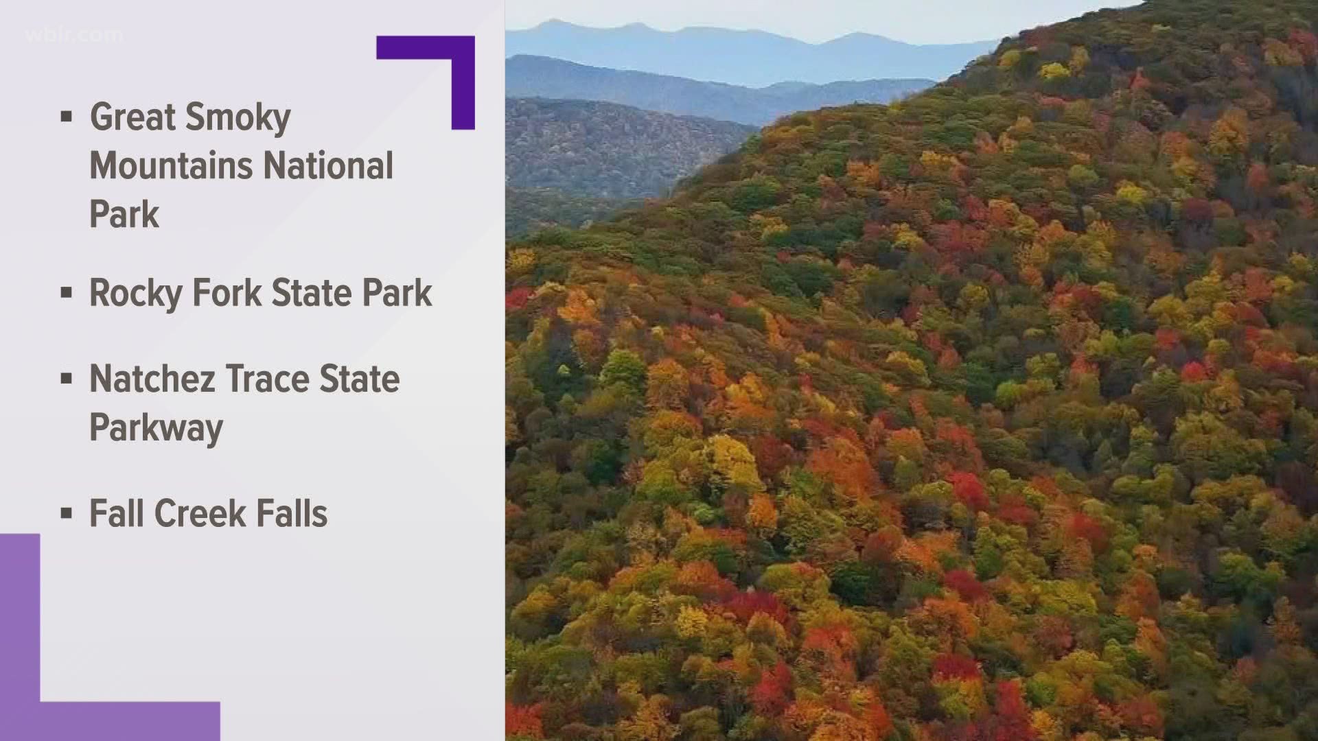 State naturalist Randy Hedgpath recommends going up to the Smokies or heading to Unicoi County for Rocky Fork State Park.