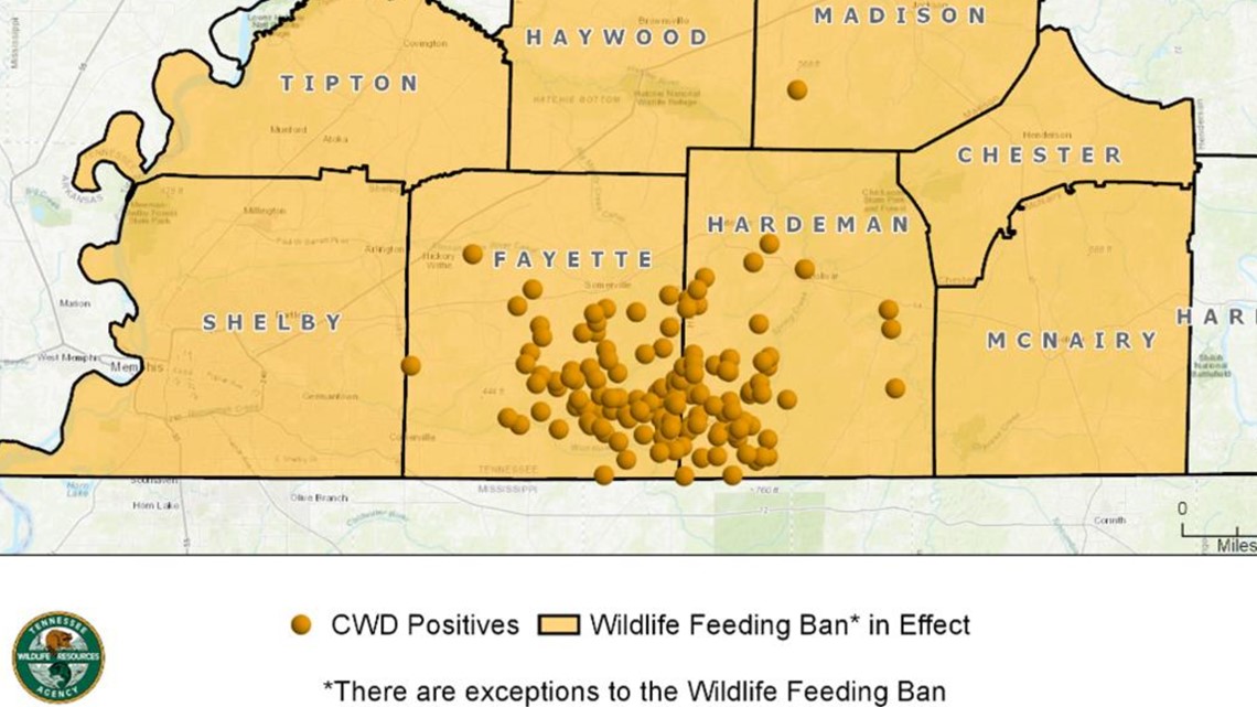 CWD management zone expanded after more than 150 deer test positive in