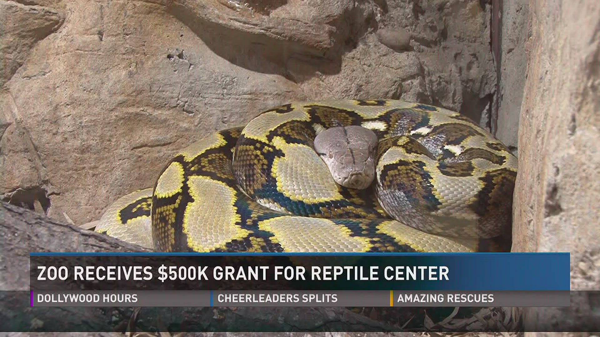 Sept. 22, 2017: Zoo Knoxville received $500,000 for its new reptile science and education facility.