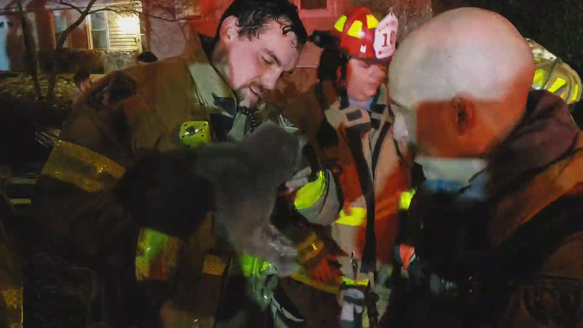 Rural Metro saved both a dog and a cat in the house fire.