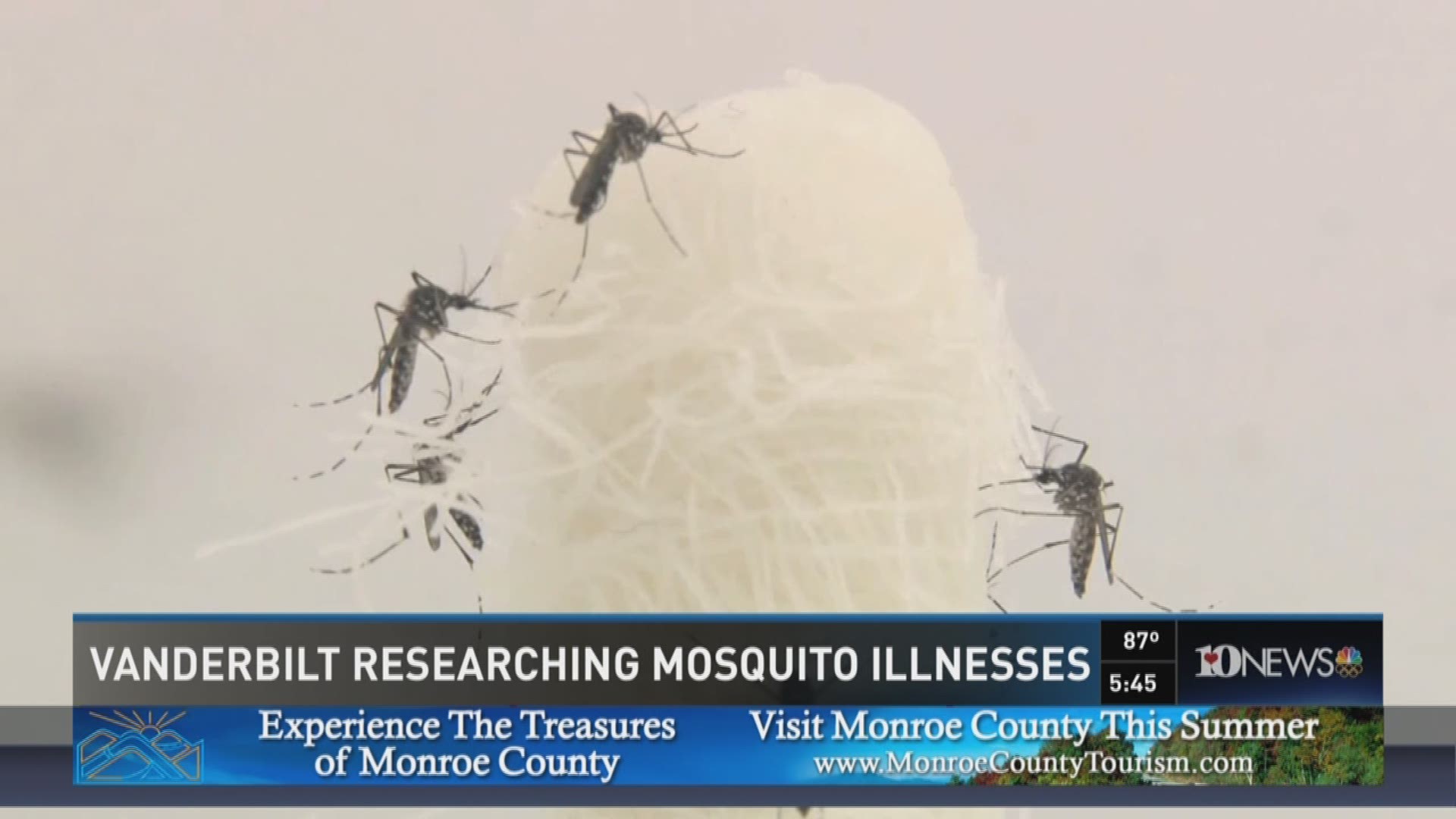 Scientists at Vanderbilt University are researching mosquito behavior so they can develop tools to more effectively keep the bugs from biting.