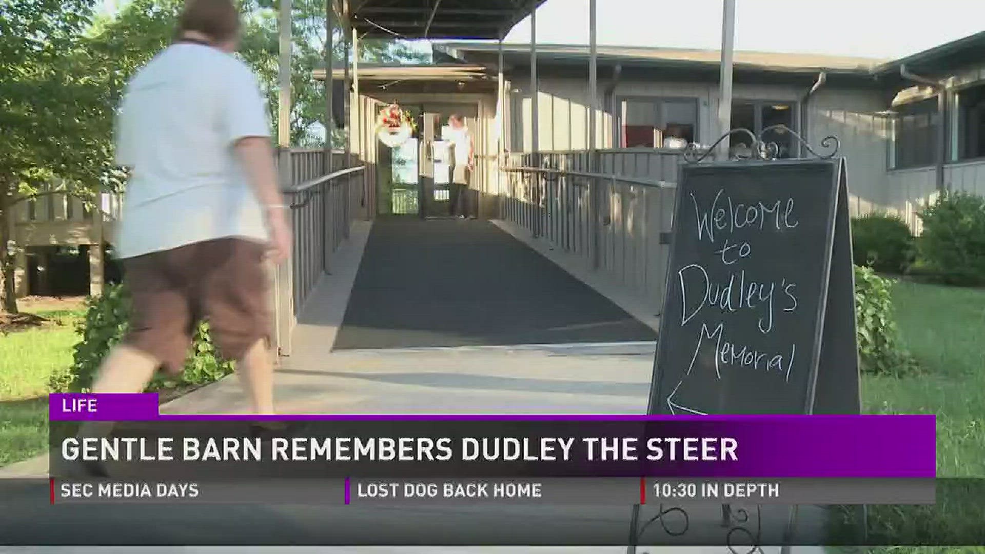 Dudley the steer was remembered by dozens from the Knoxville community as well as across the world.