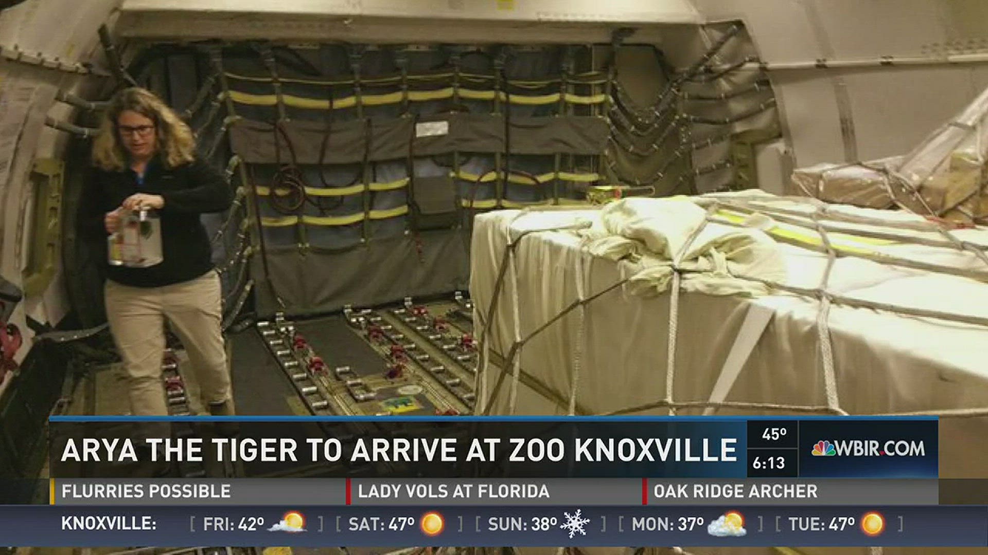 Jan. 26, 2017: Arya the Malaysian tiger is traveling by FedEx all the way from California to Zoo Knoxville.