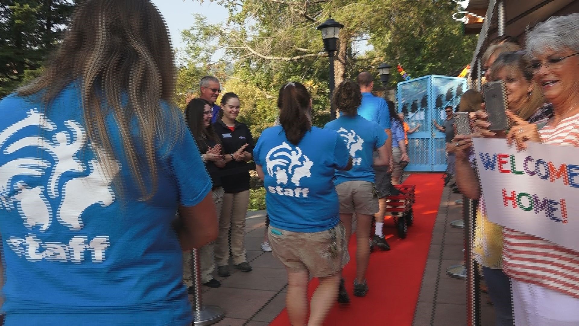 Zoo Knoxville Penguins arrive at their new home in Gatlinburg