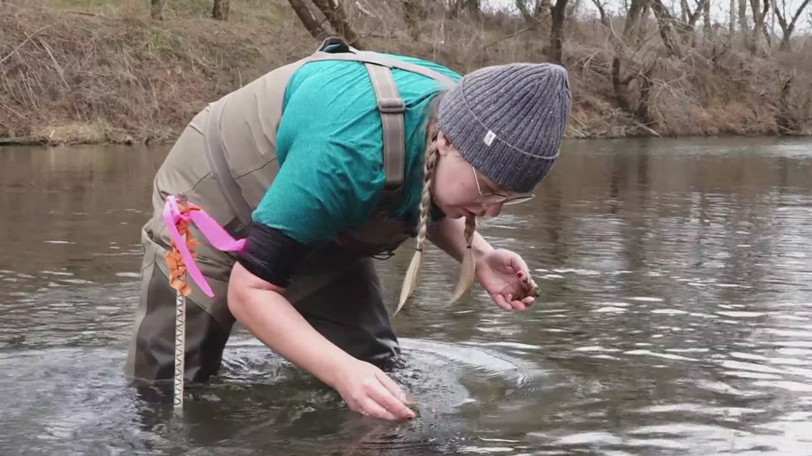 UT students track endangered mussels to better protect Tennessee waterways