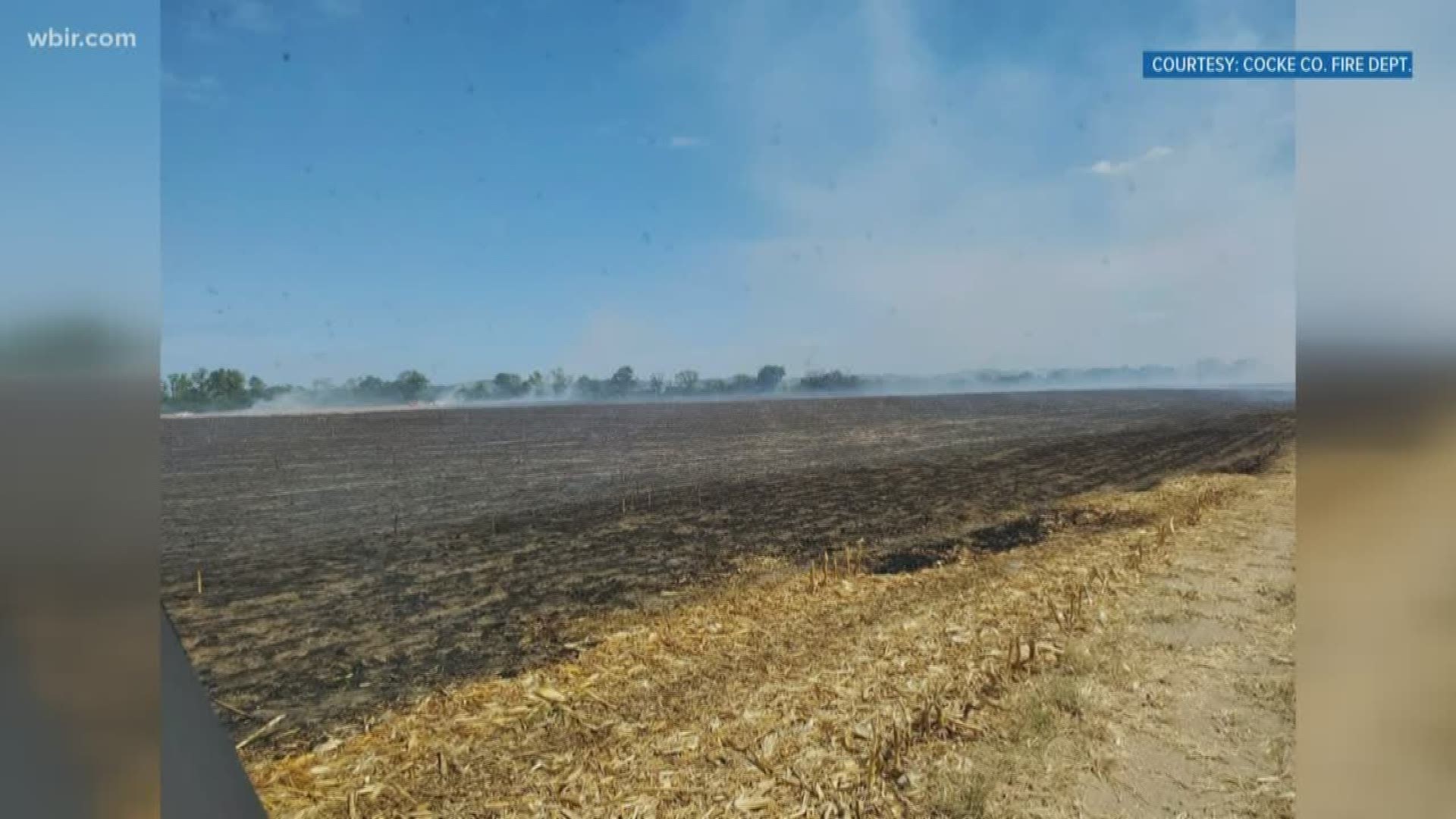 Fire officials haven't said what caused the fire yet but said the field had just been cut and most of the crops had been harvested.