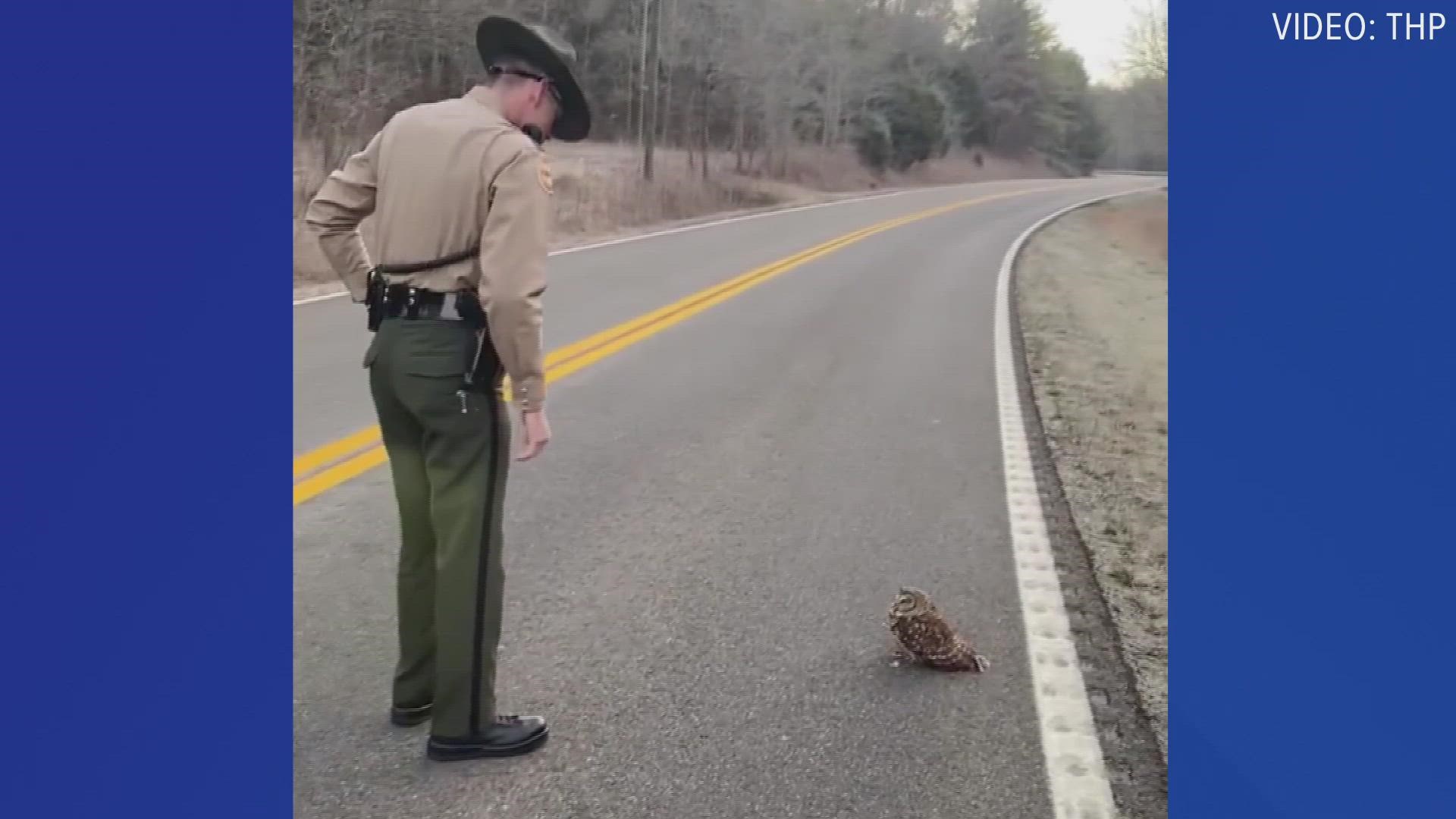 "Mr. Owl was thankful for the Trooper's kindness and guidance as it will keep us all safe."