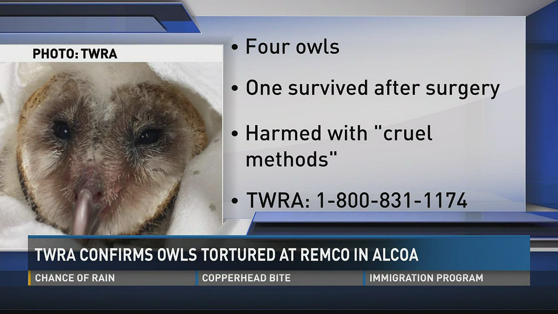 June 29, 2017: Wildlife agents said four barn owls were abused at Remco in Alcoa.