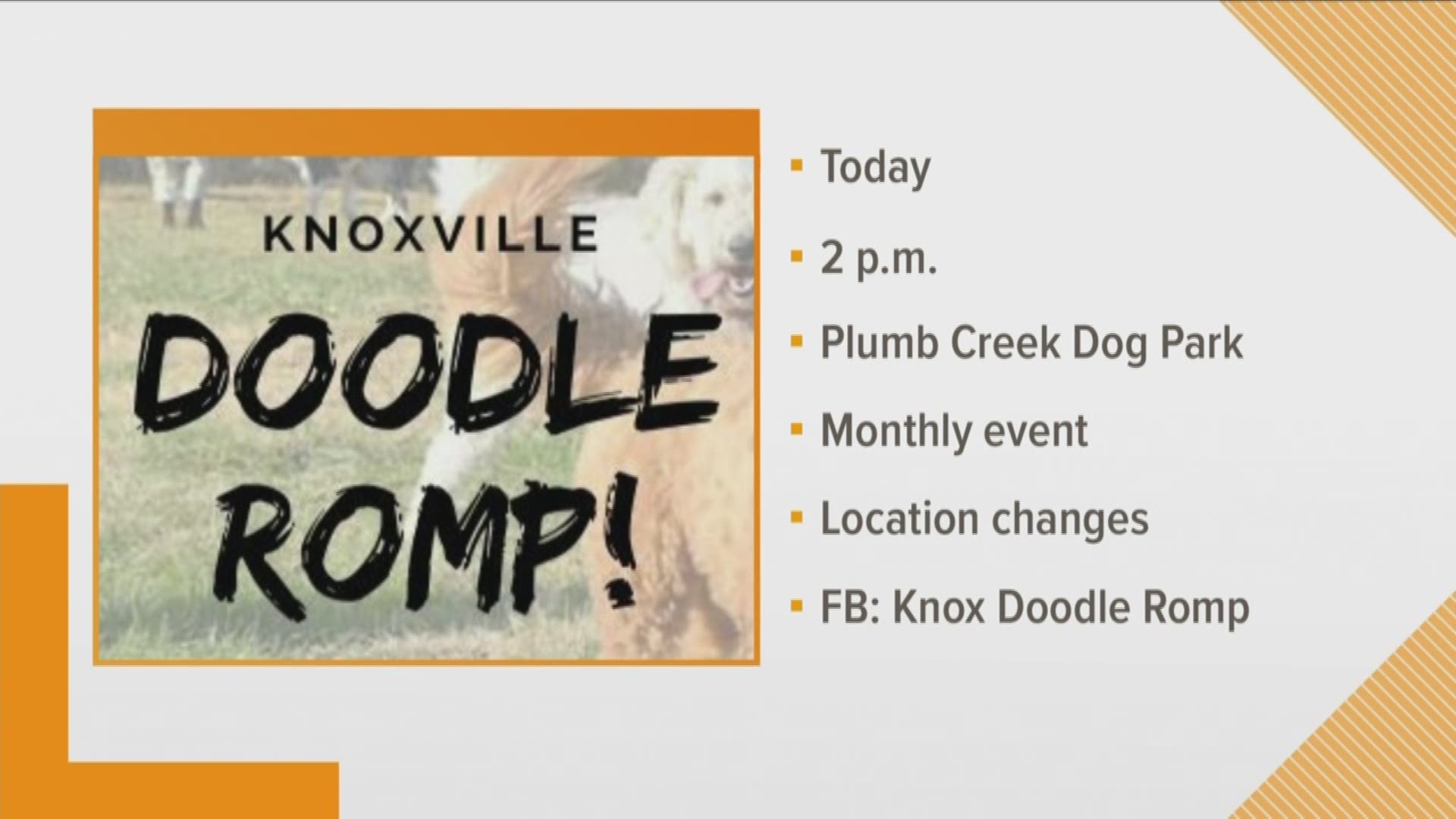 Creator of Knoxville Doodle Romp Jade Kloss is here to talk more about a free monthly event for your furry friends.