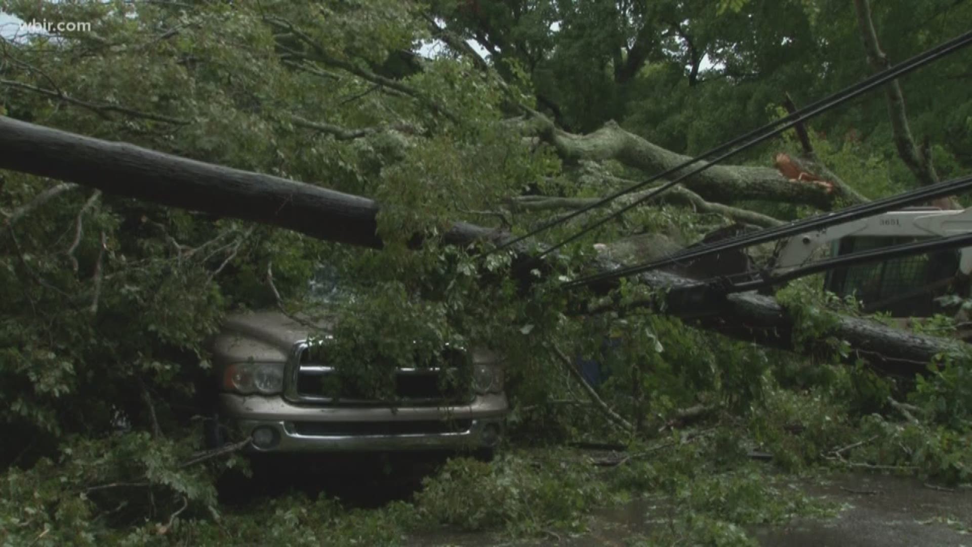 The man was reported to be okay, but was taken to the hospital out of precaution after heavy rain and storms knocked a tree down on his vehicle while he was driving.