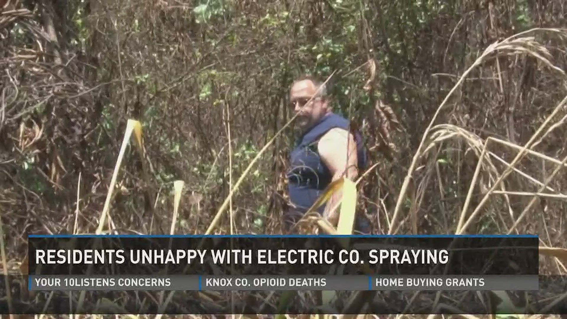 July 7, 2017: Residents in Claiborne County are unhappy the Powell Valley Electric Cooperative has been spraying herbicides to kill plants under power lines, saying the spraying has also damaged plants in their own yards.