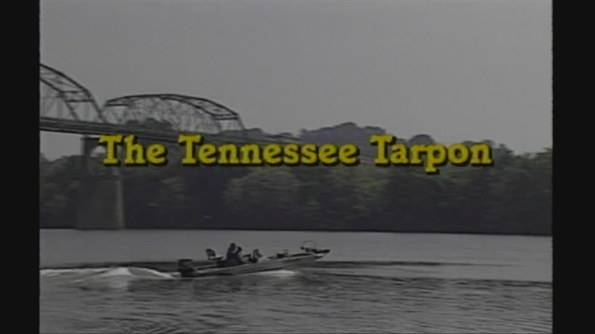 WBIR Channel 10's 'The Heartland Series' hosted by Bill Landry aired from 1984 to 2009. We hope you enjoy these captivating windows into East Tennessee history.