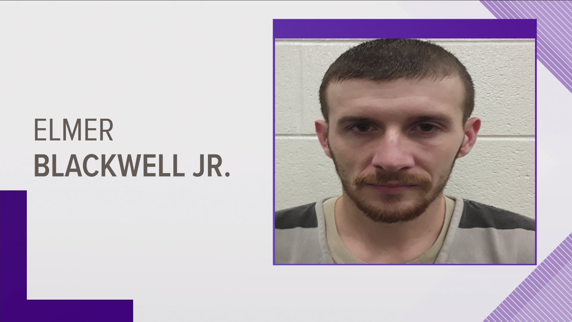 Court documents say Elmer Blackwell Jr. facing theft and vandalism charges for stealing 14 roosters from private property south of Madisonville.