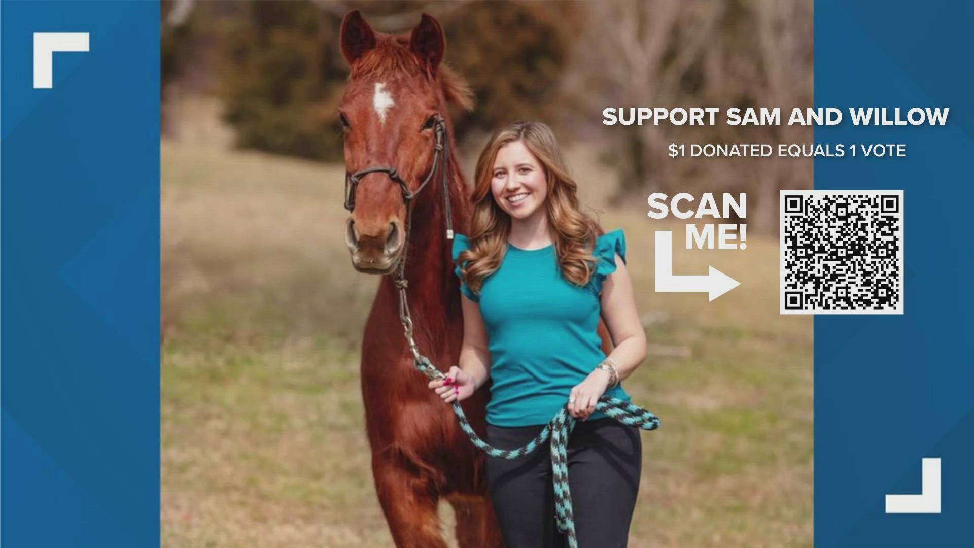 The nonprofit, Horse Haven, has rescued 1400 neglected horses since it started in 1999. 